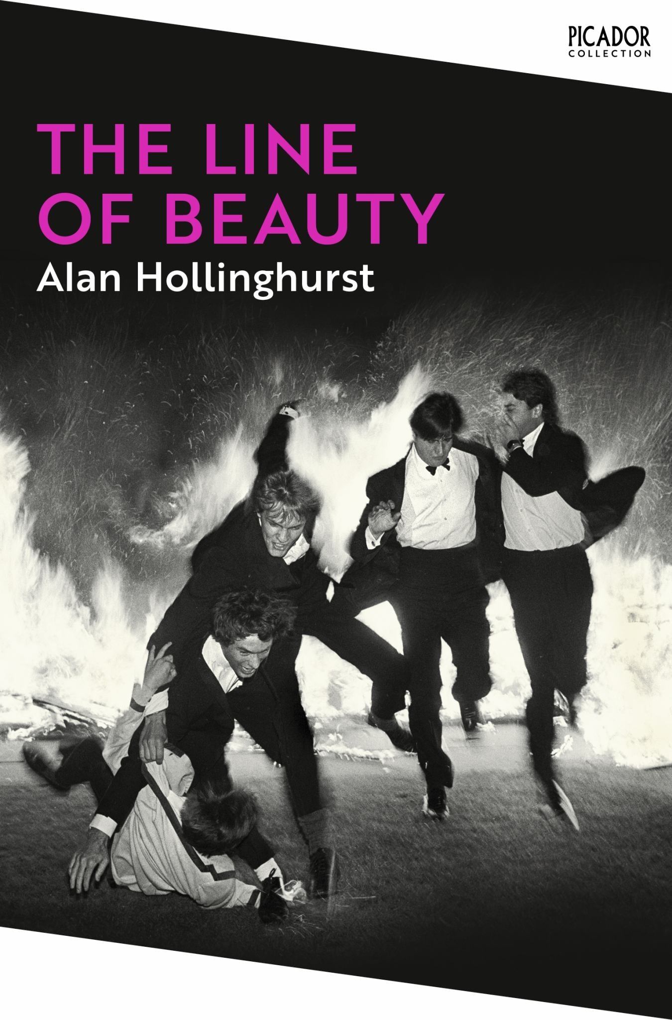 The Line of Beauty Cover Image