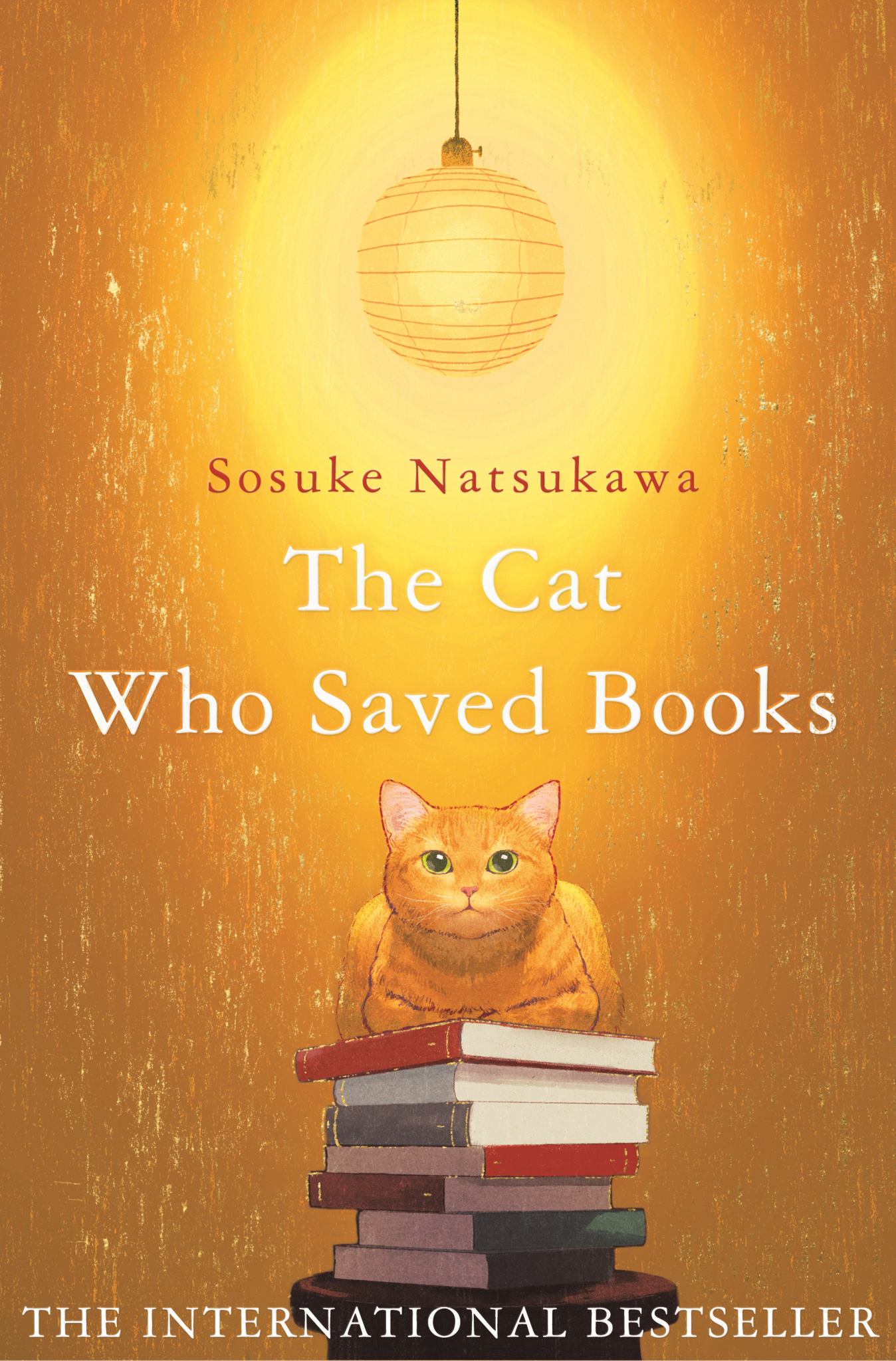 The Cat Who Saved Books Cover Image