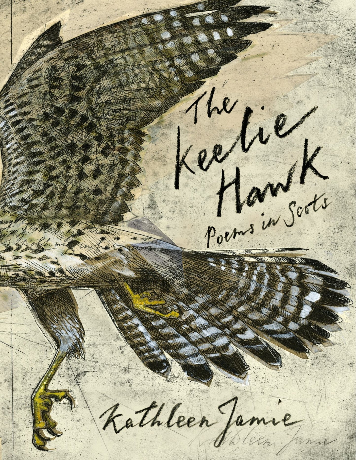 The Keelie Hawk Cover Image