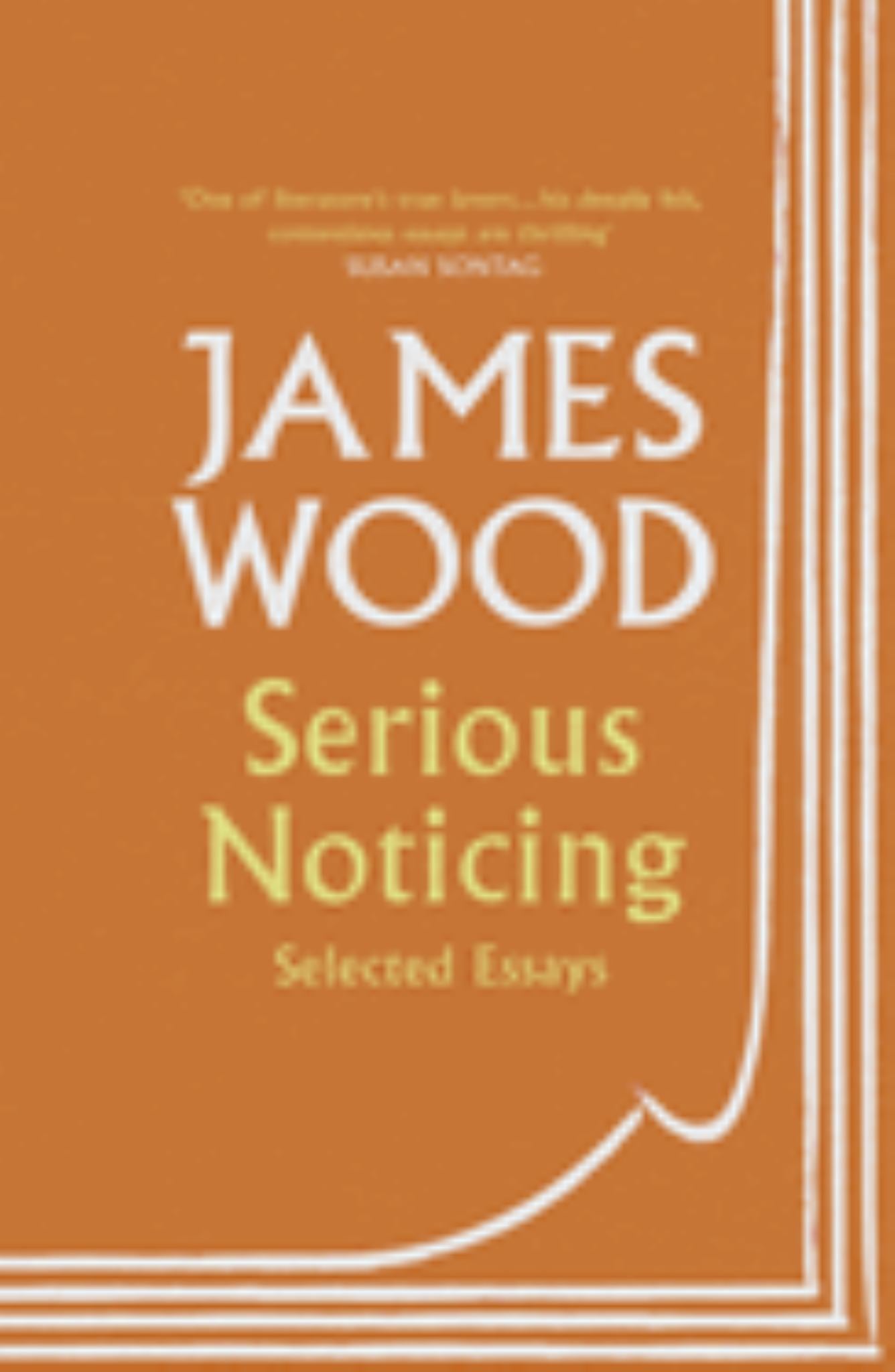 Serious Noticing Cover Image