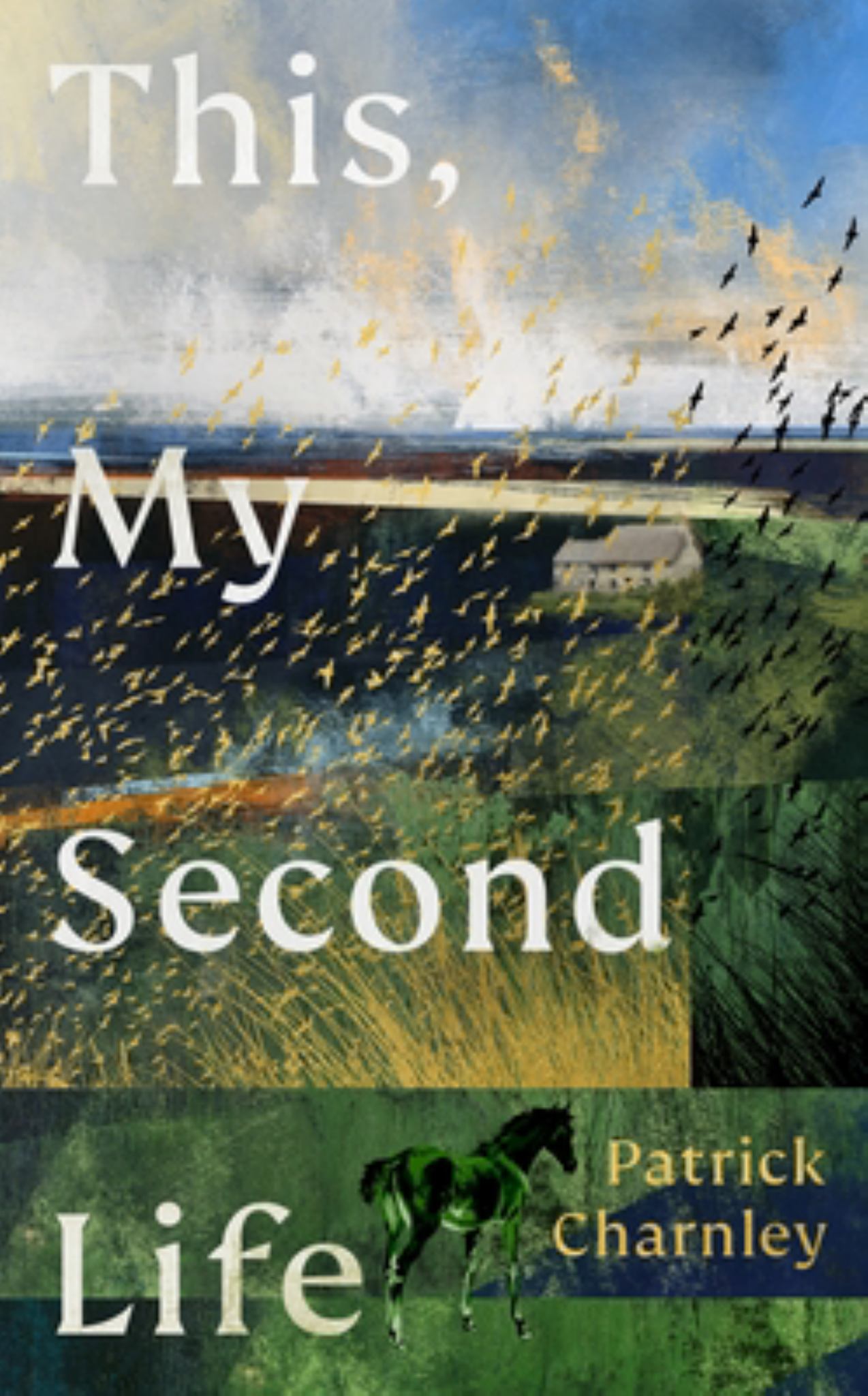 This, My Second Life Cover Image