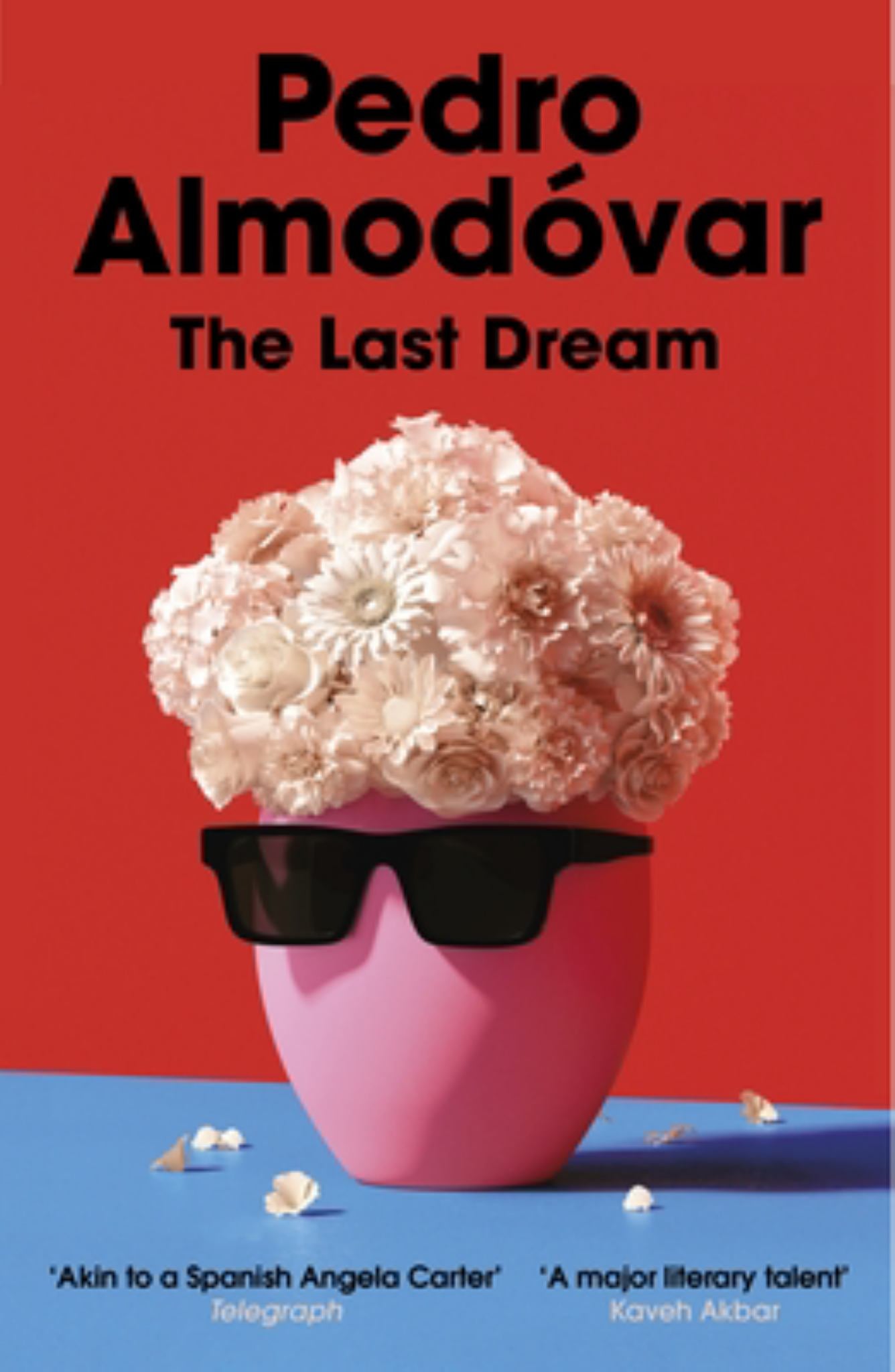 The Last Dream Cover Image