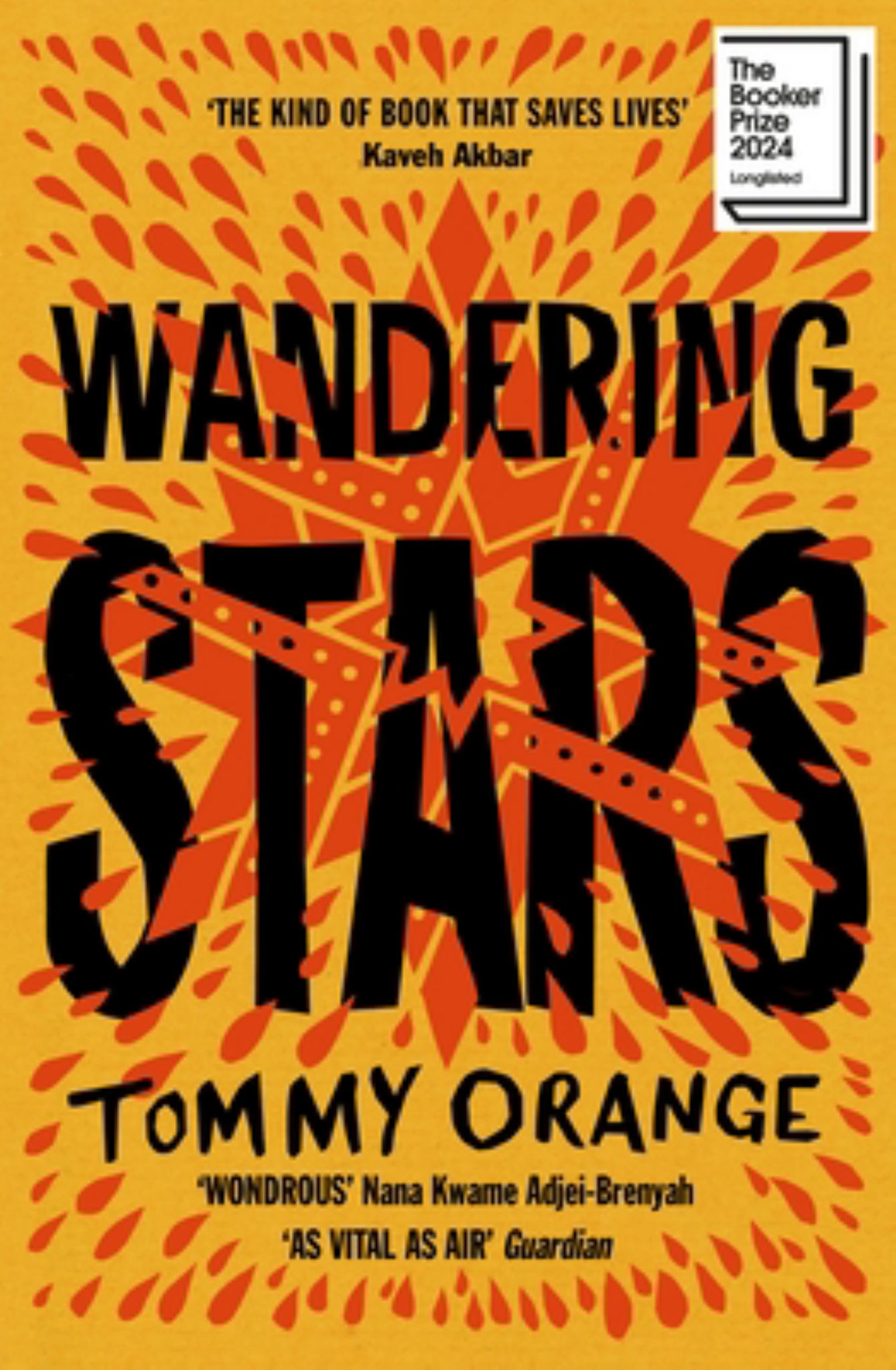 Wandering Stars Cover Image
