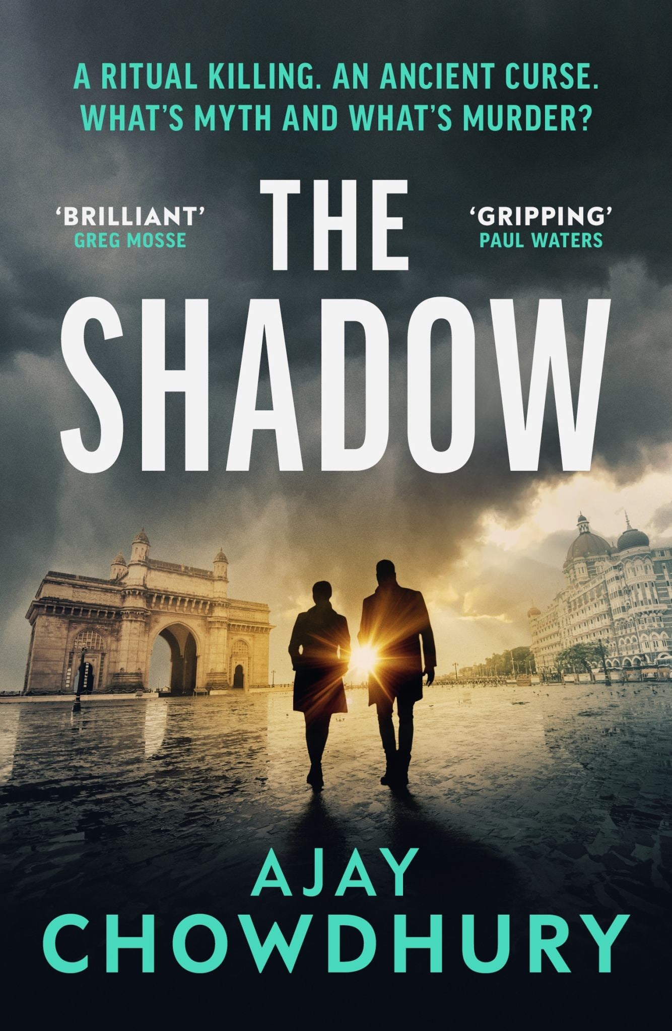 The Shadow Cover Image