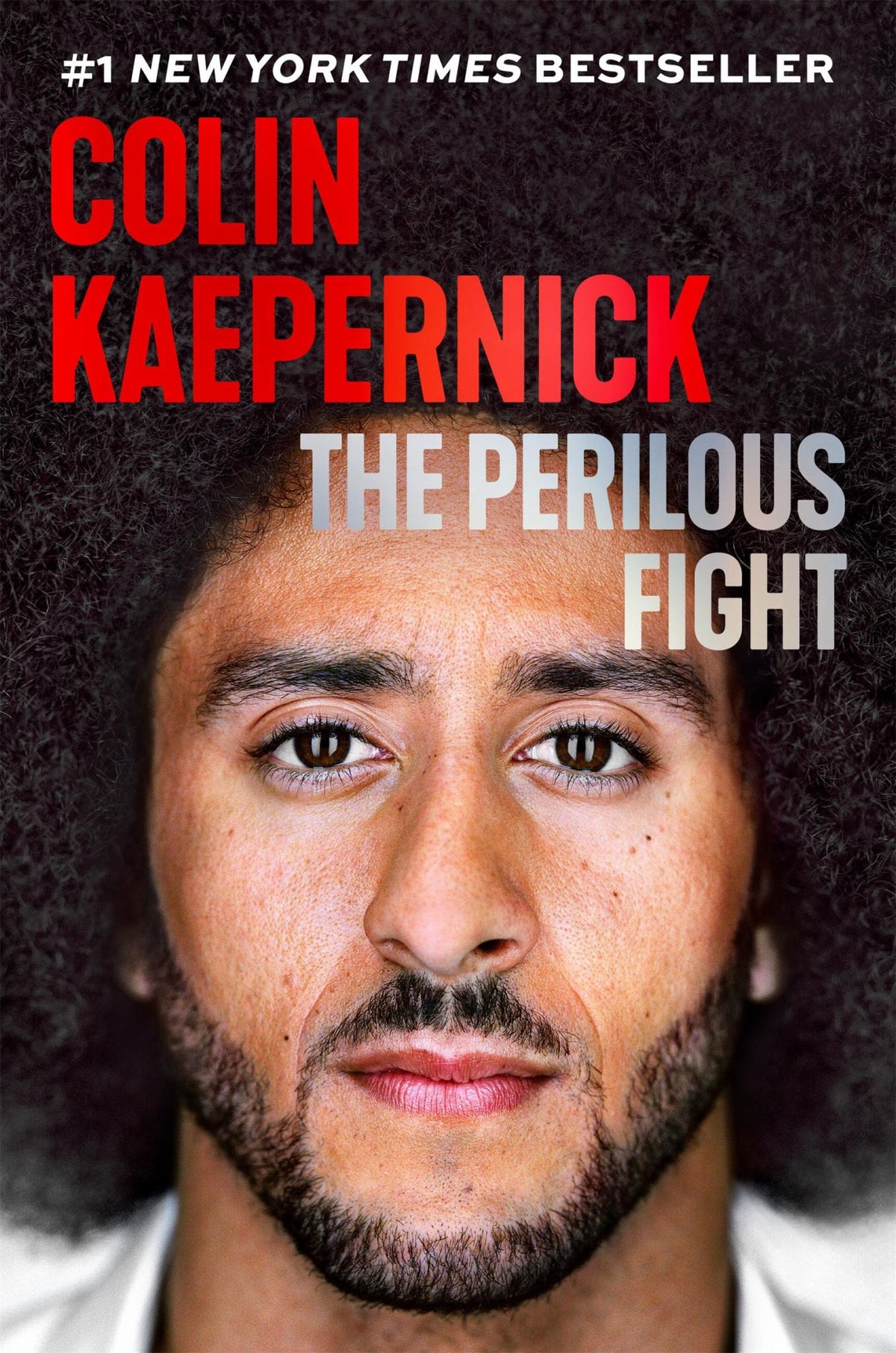 The Perilous Fight Cover Image