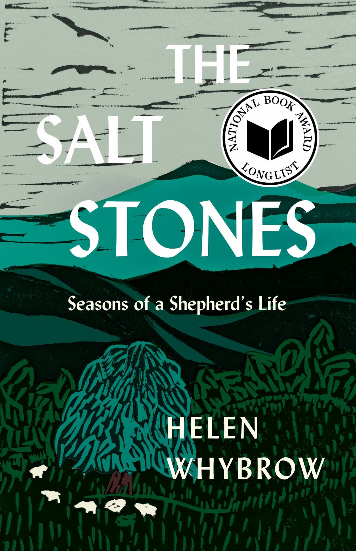 The Salt Stones Cover Image