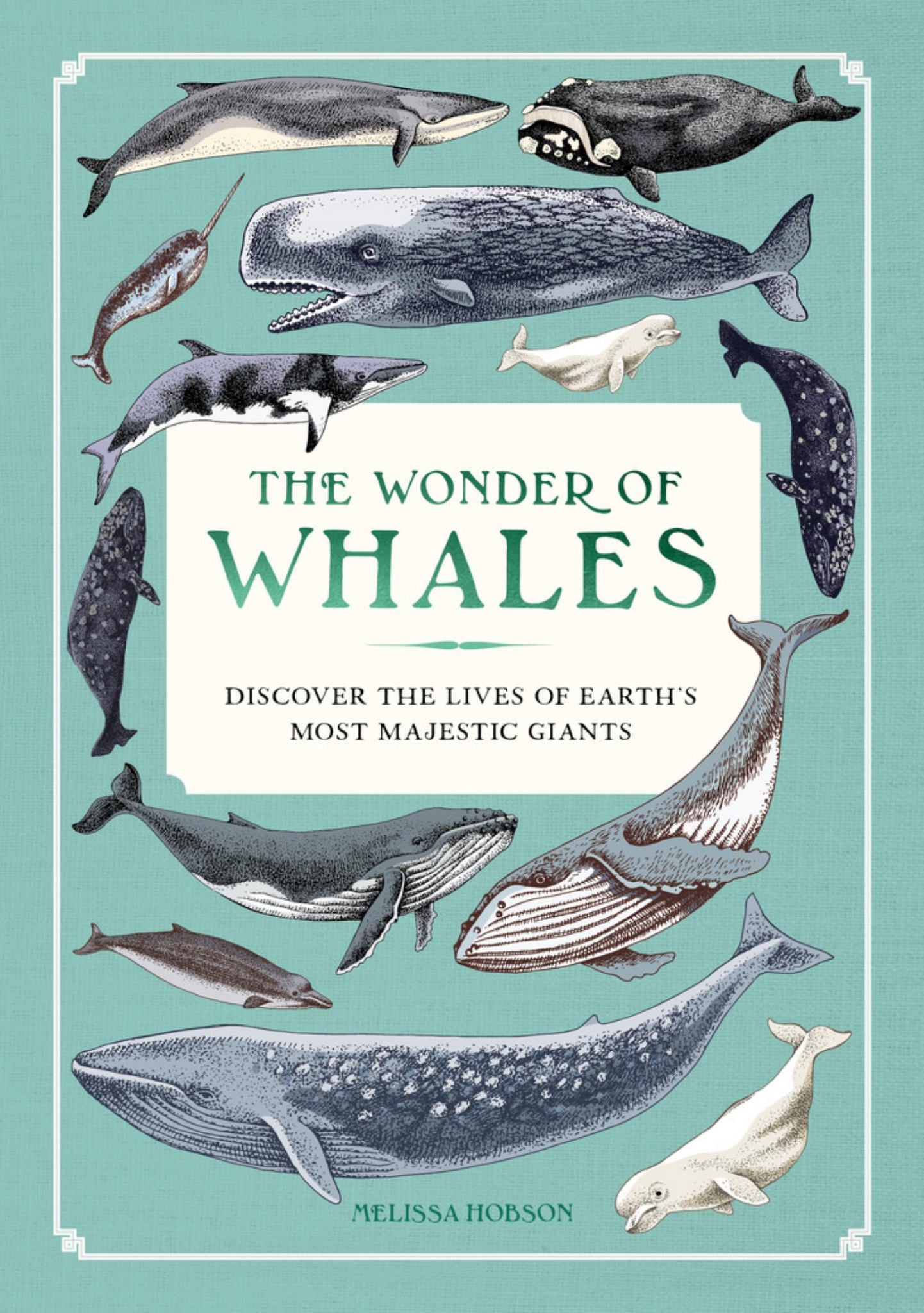 The Wonder of Whales Cover Image