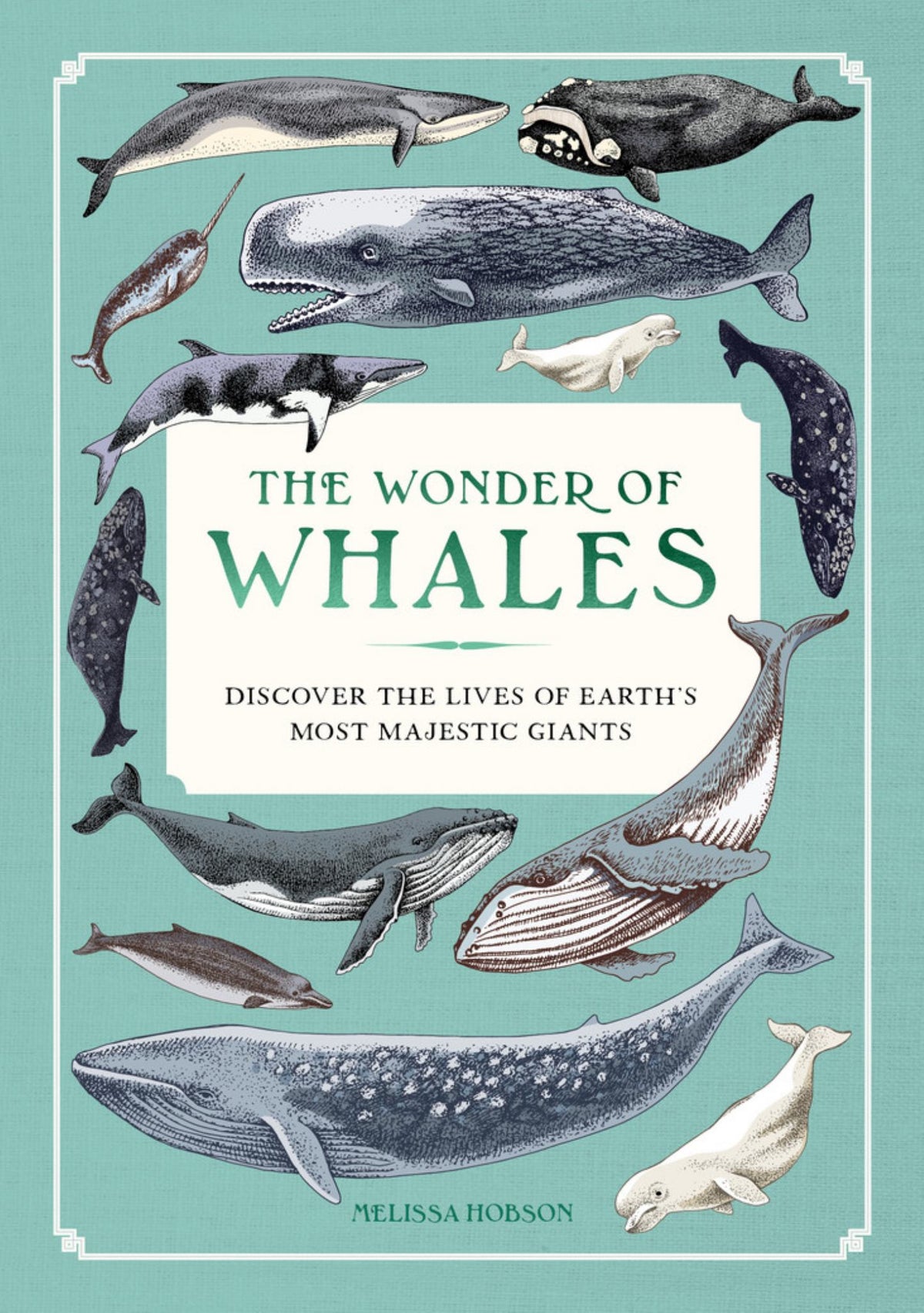 The Wonder of Whales Cover Image