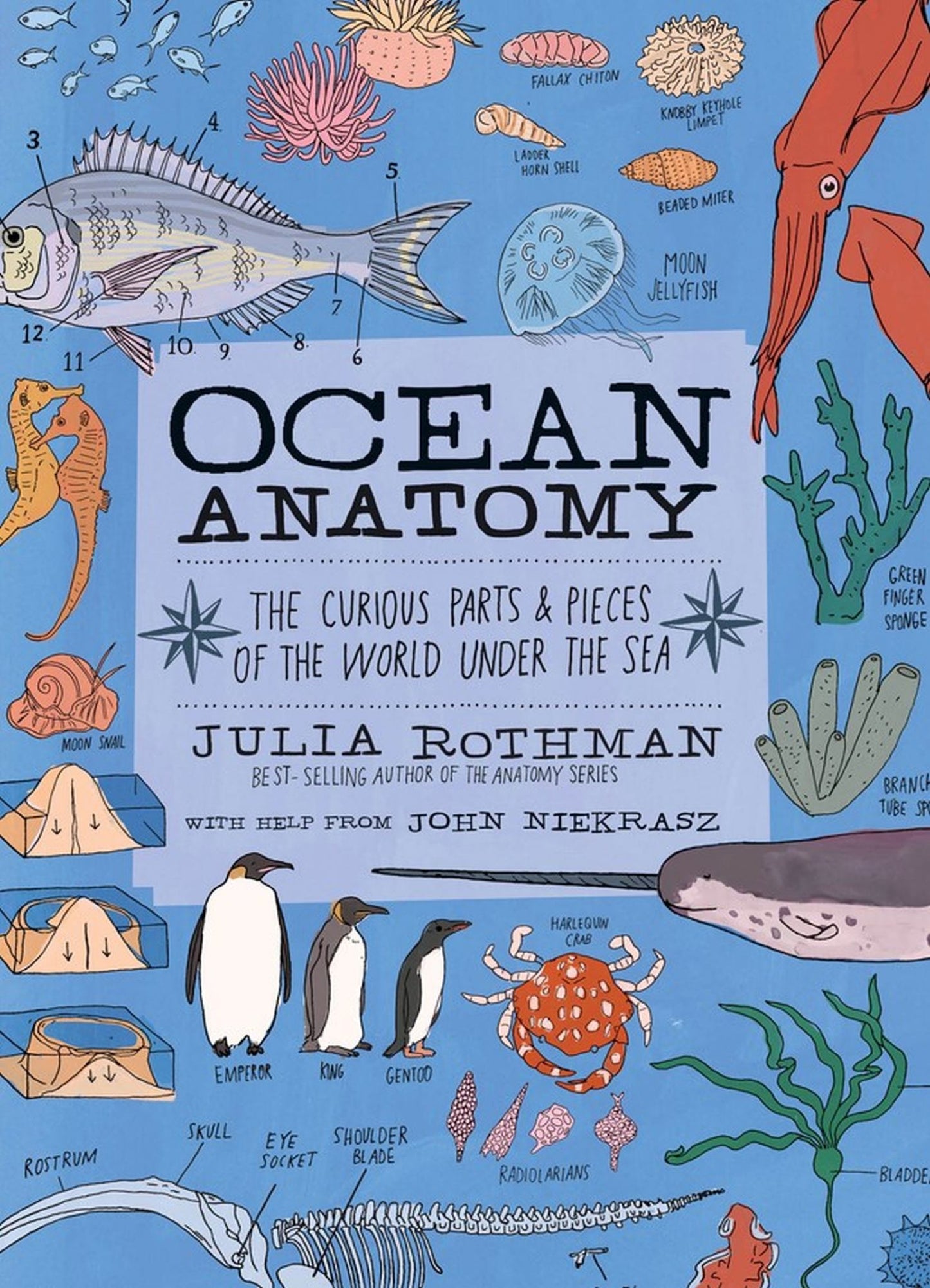Ocean Anatomy Cover Image