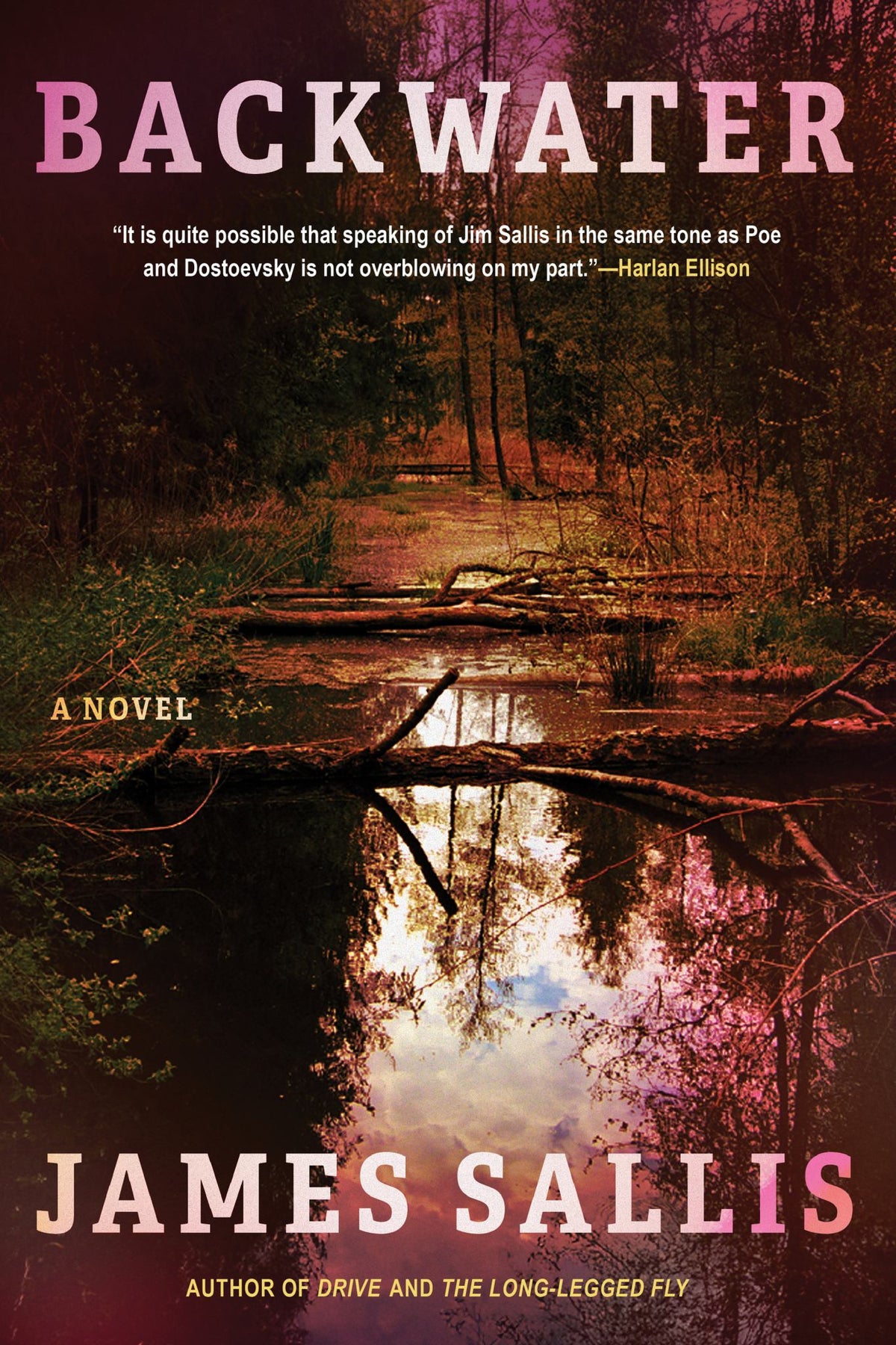 Backwater Cover Image