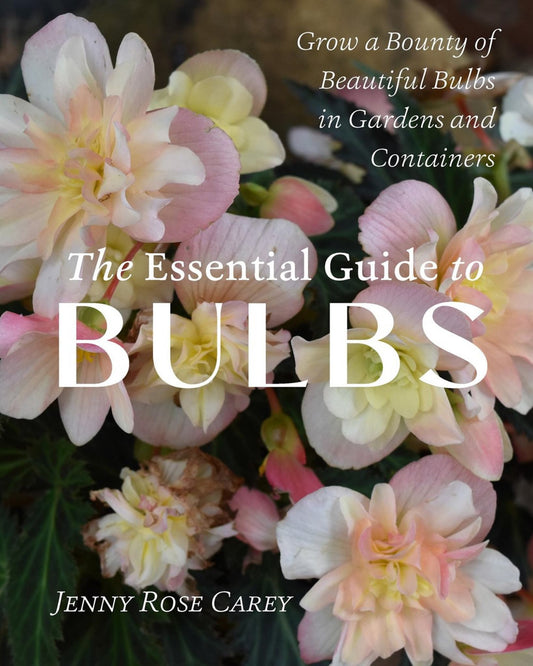 The Essential Guide to Bulbs Cover Image