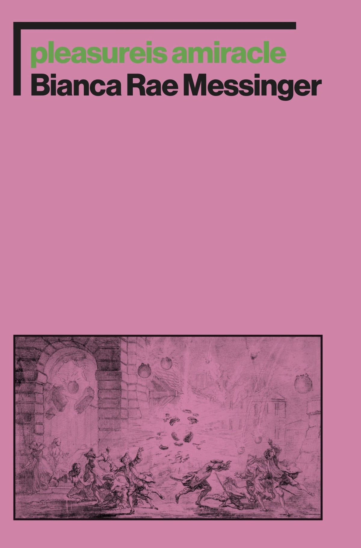 Pleasureis Amiracle Cover Image
