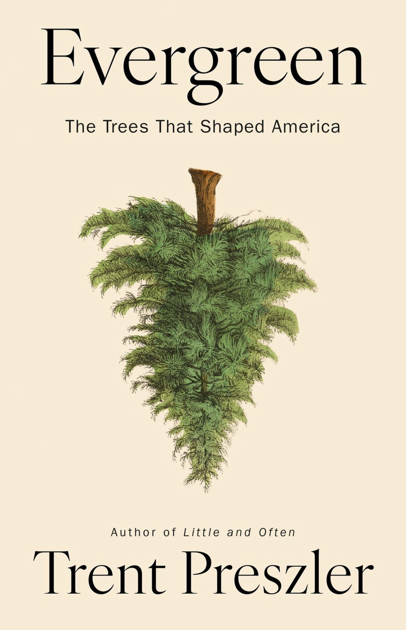 Evergreen Cover Image
