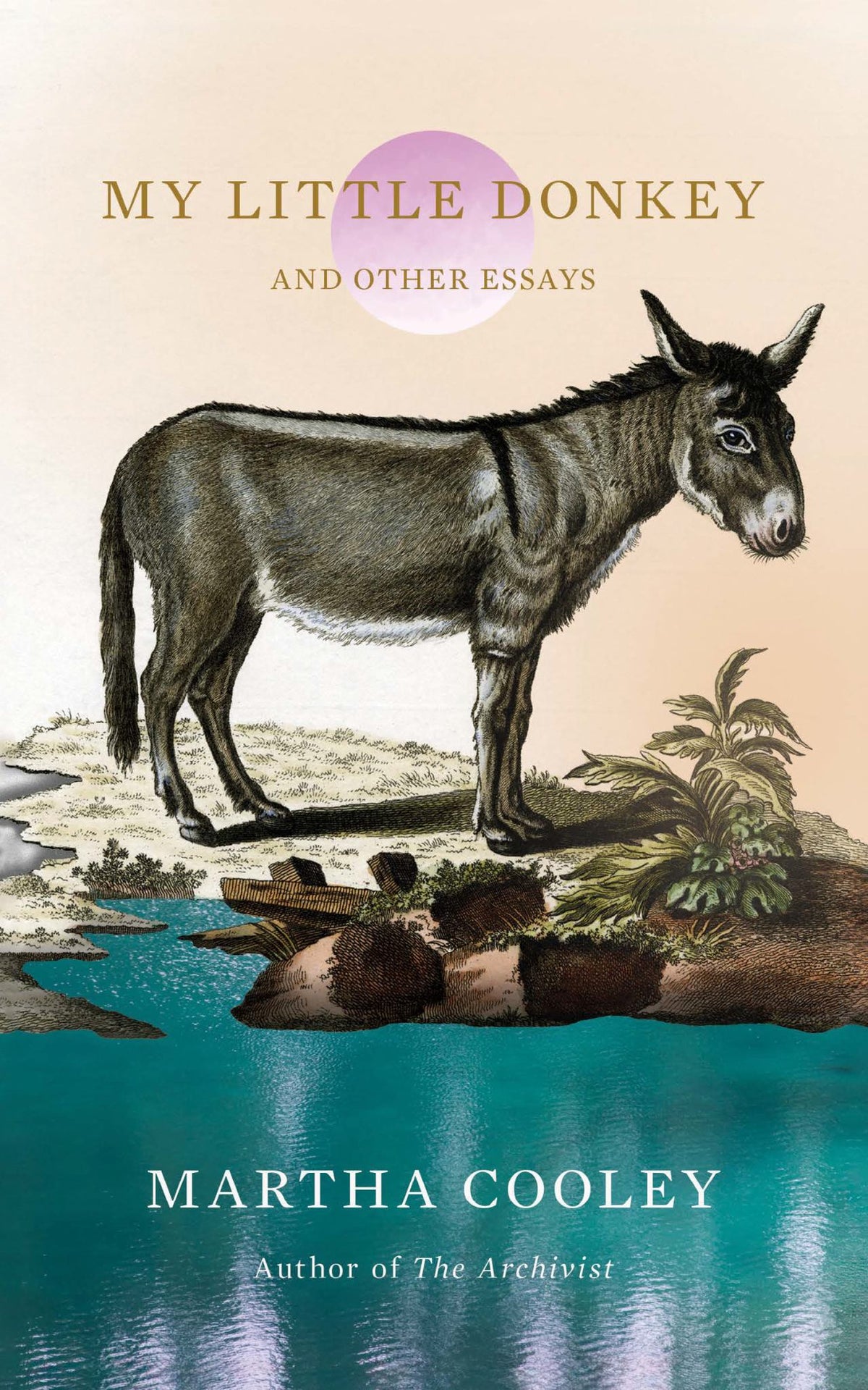 My Little Donkey Cover Image