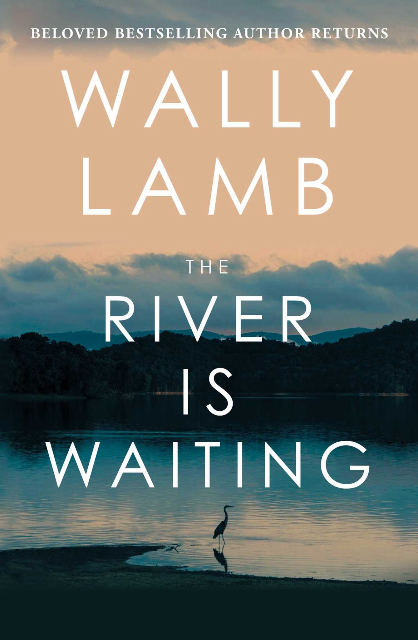 The River Is Waiting Cover Image