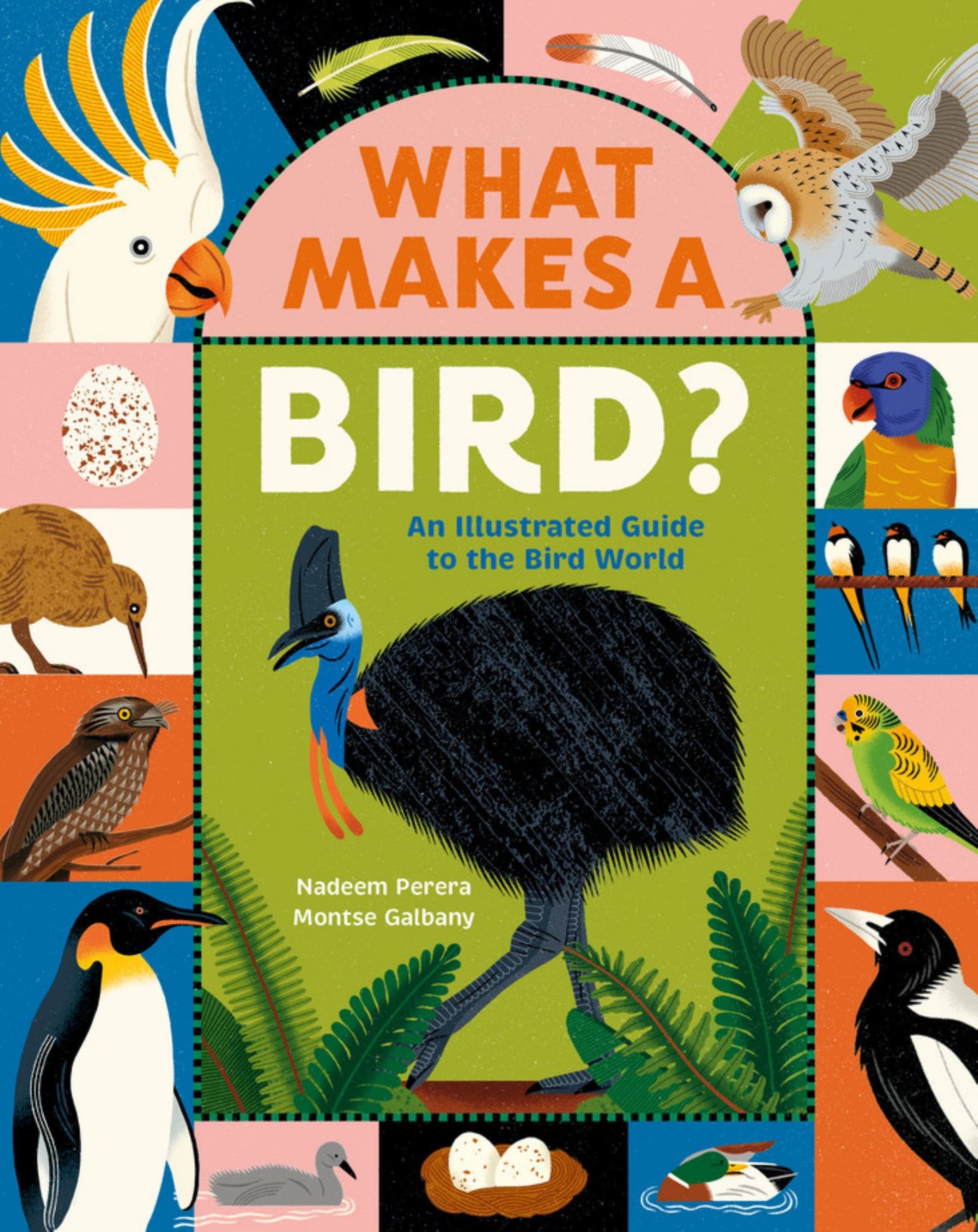 What Makes a Bird?: an Illustrated Guide to the Bird World Cover Image