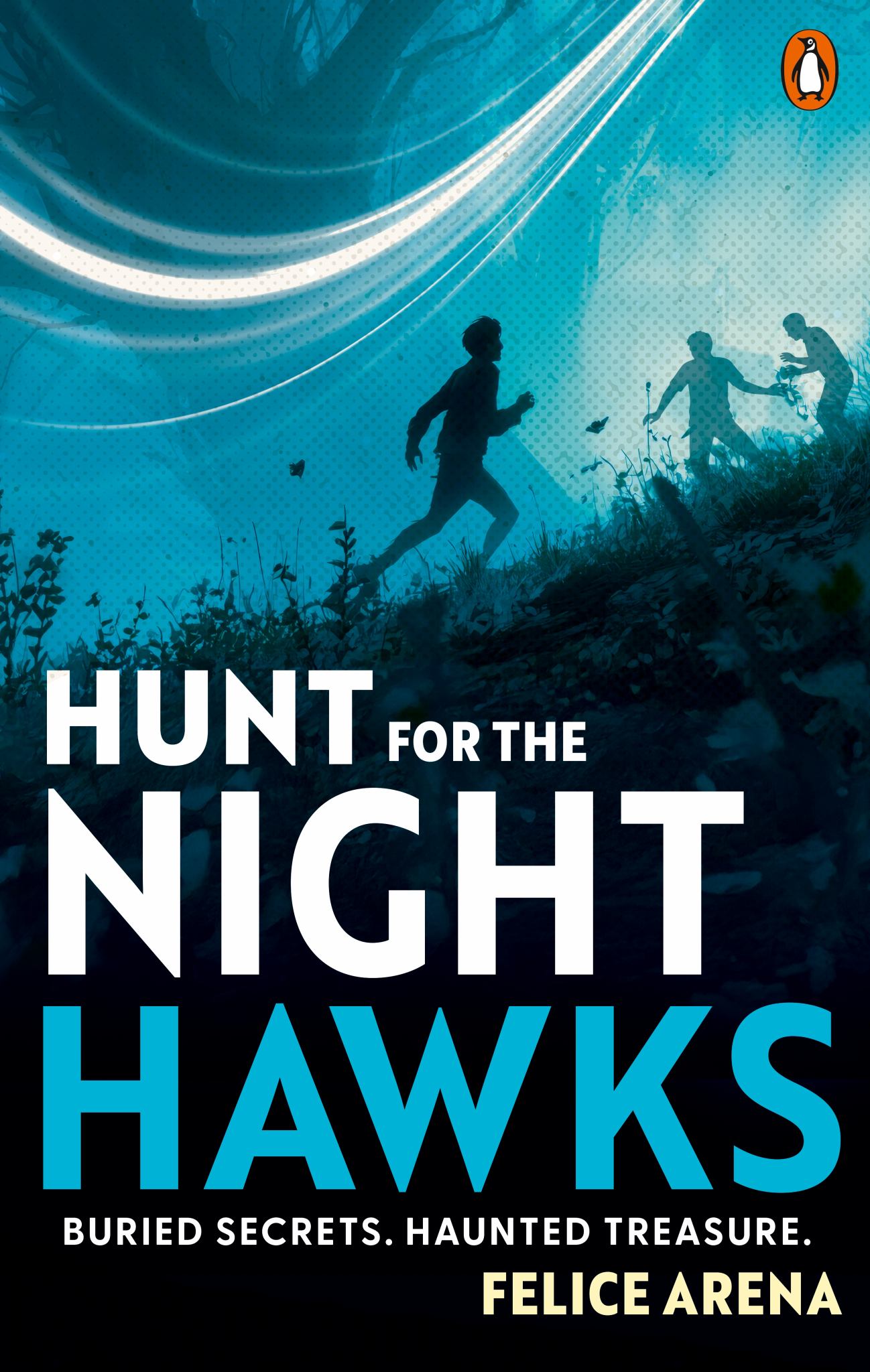 Hunt for the Nighthawks Cover Image