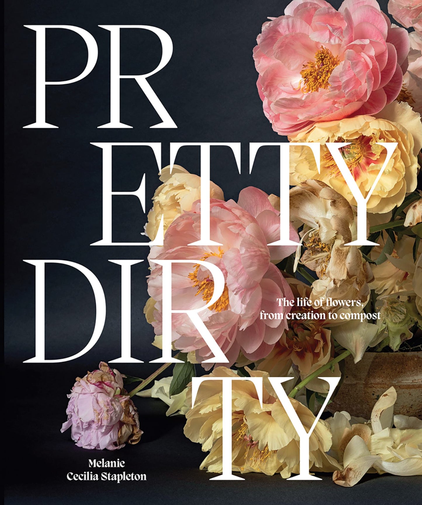 Pretty Dirty Cover Image