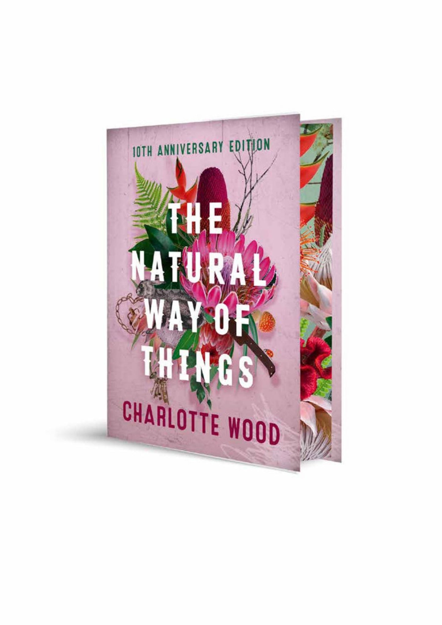 The Natural Way of Things 10th Anniversary Edition Cover Image