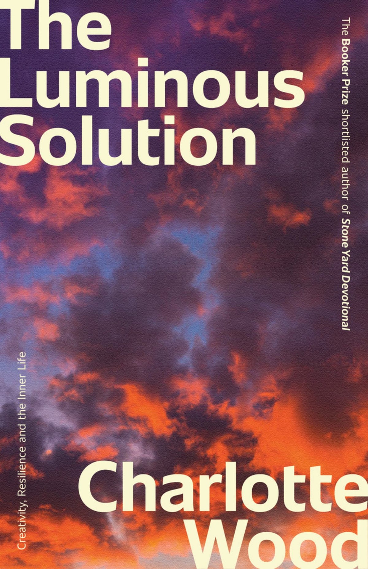 The Luminous Solution Cover Image
