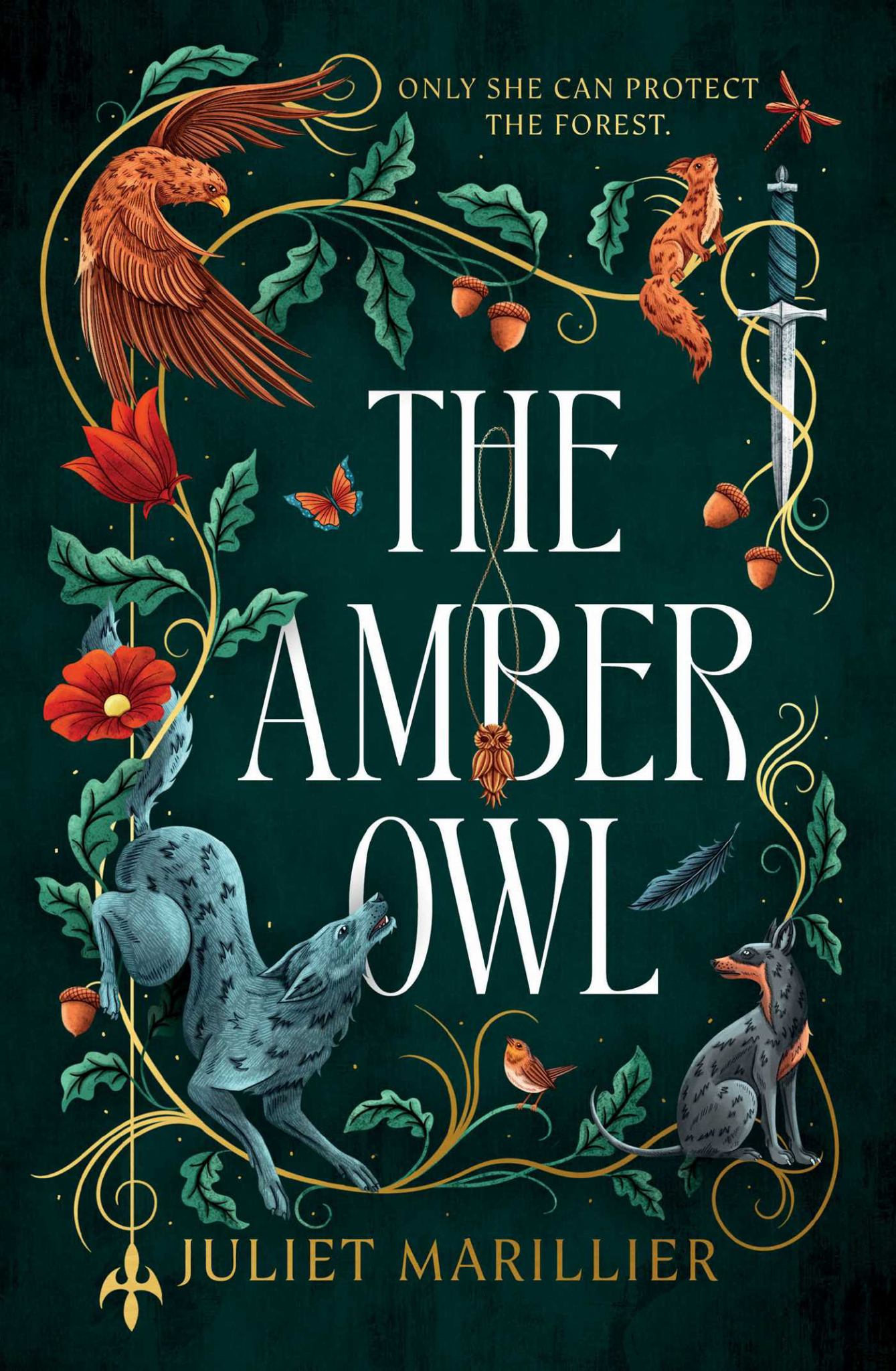 Amber Owl Cover Image