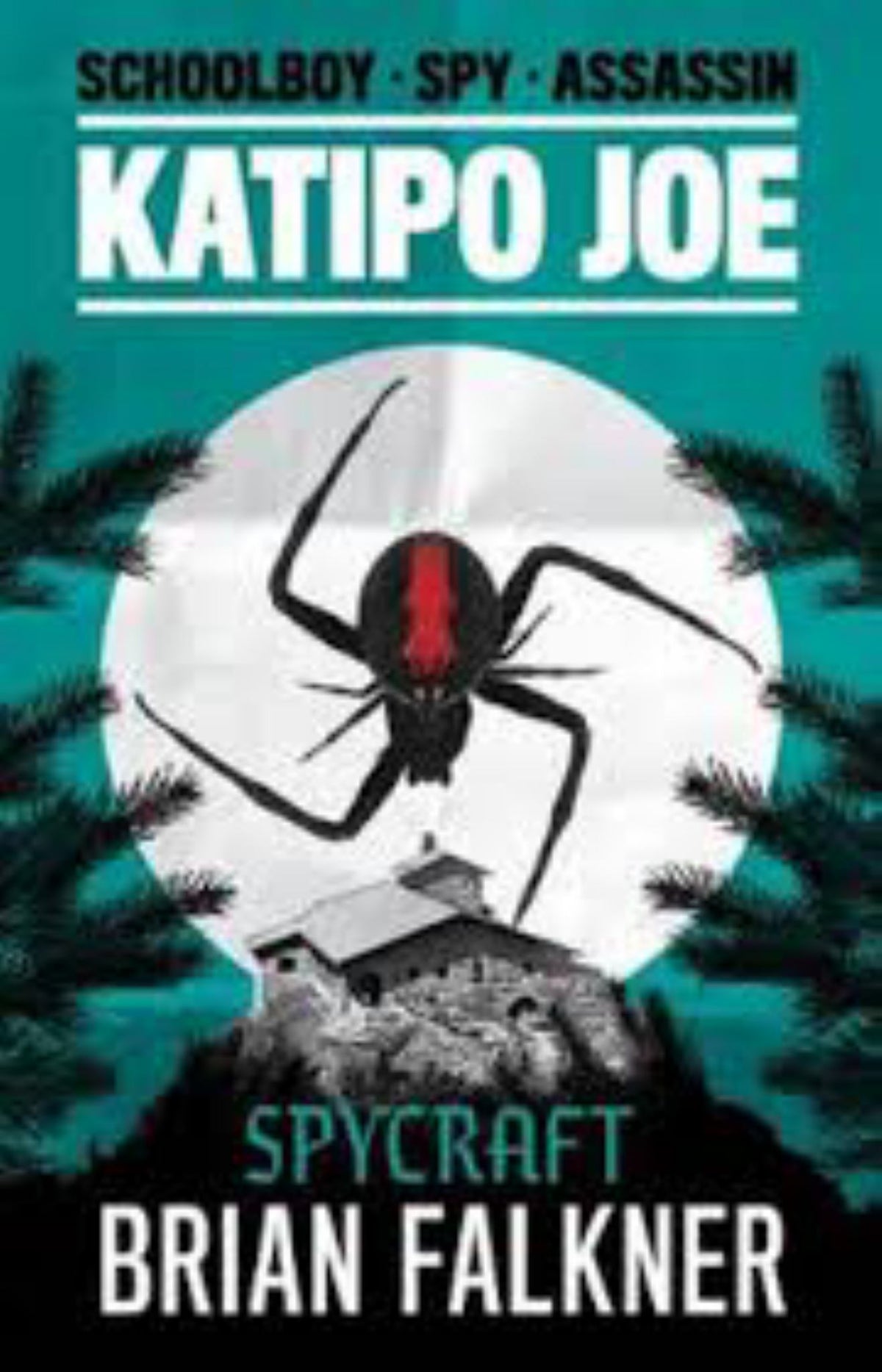 Katipo Joe Book #2: Spycraft Cover Image