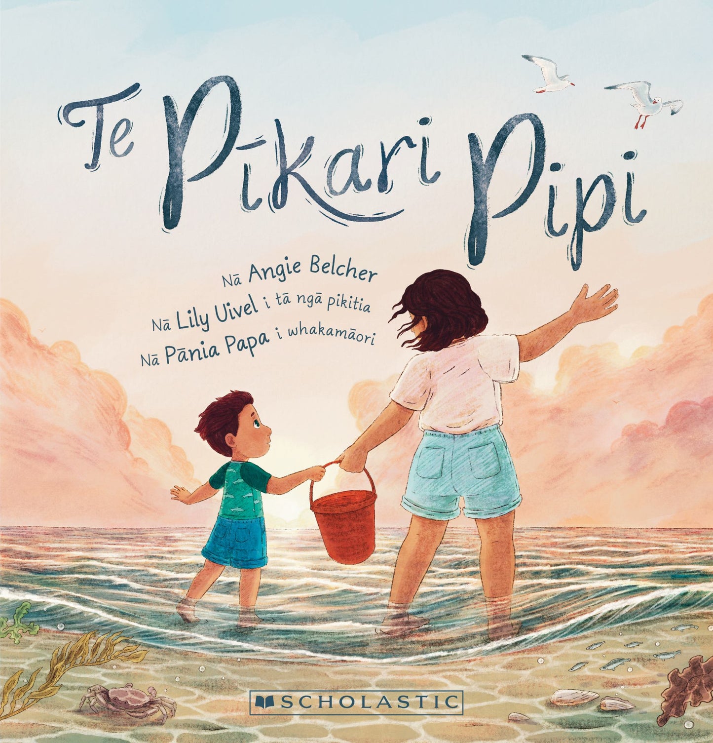 Te P±kari Pipi Cover Image