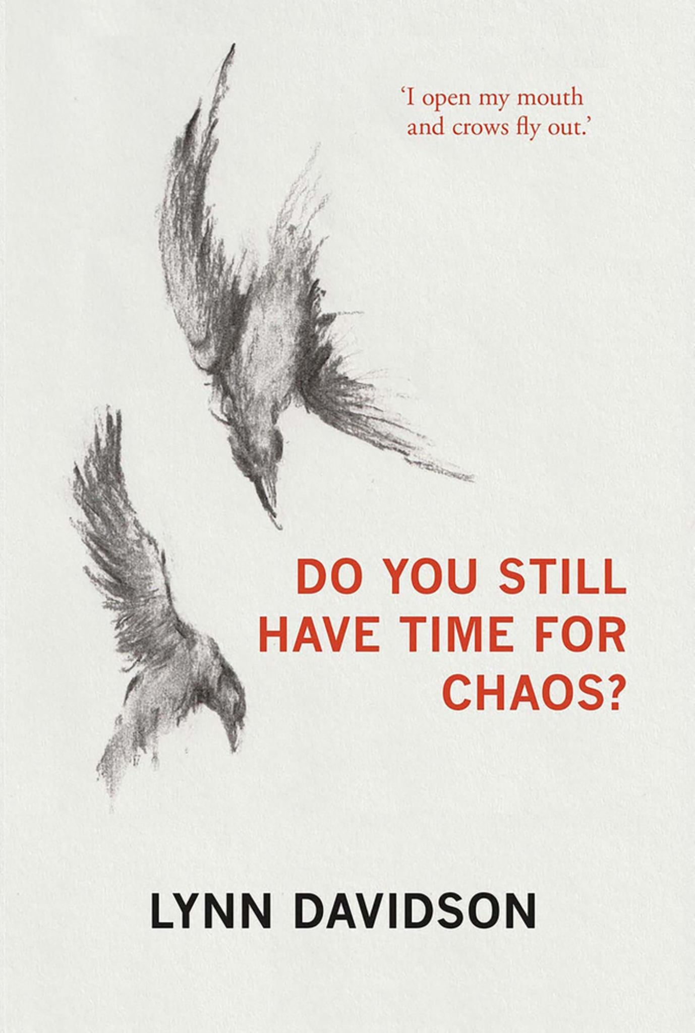 Do You Still Have Time for Chaos? Cover Image