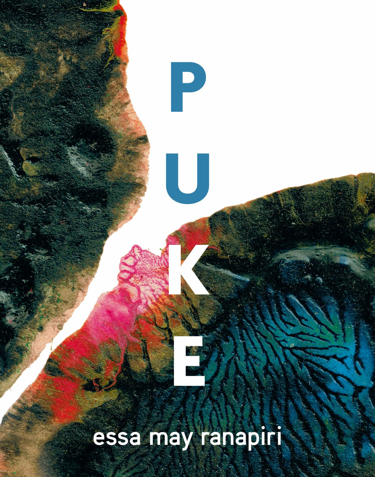 Puke Cover Image