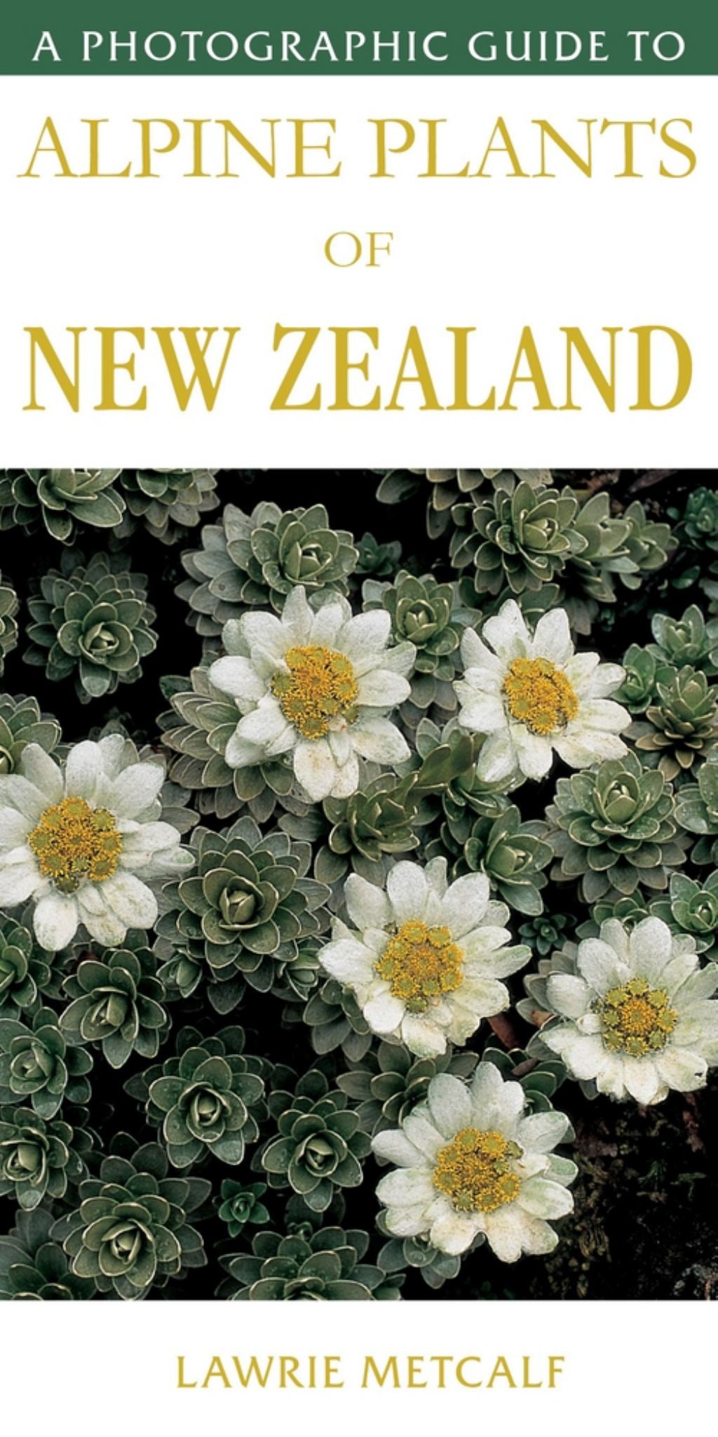A Photographic Guide to Alpine Plants of New Zealand Cover Image