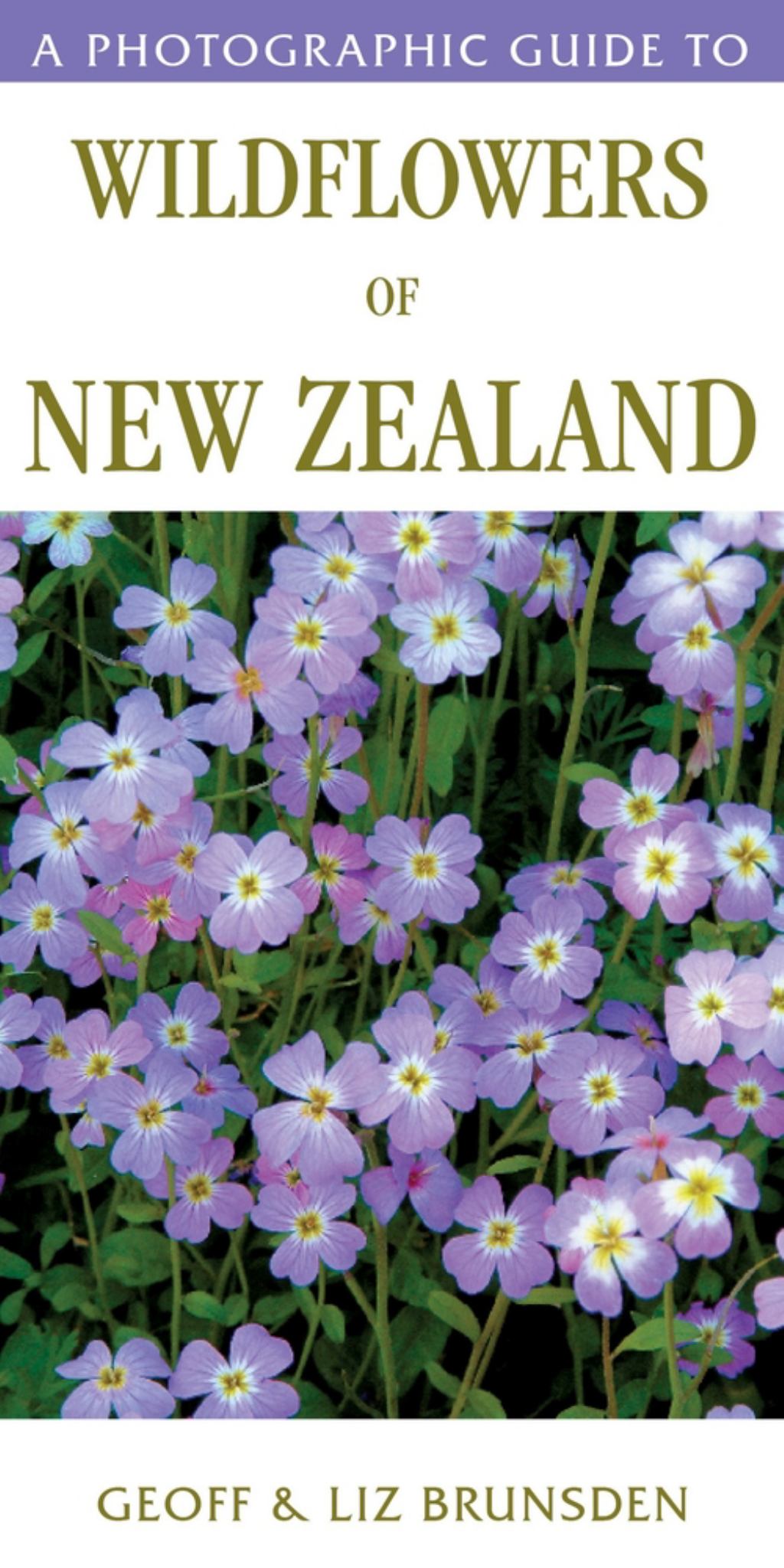 A Photographic Guide to Wildflowers of New Zealand Cover Image