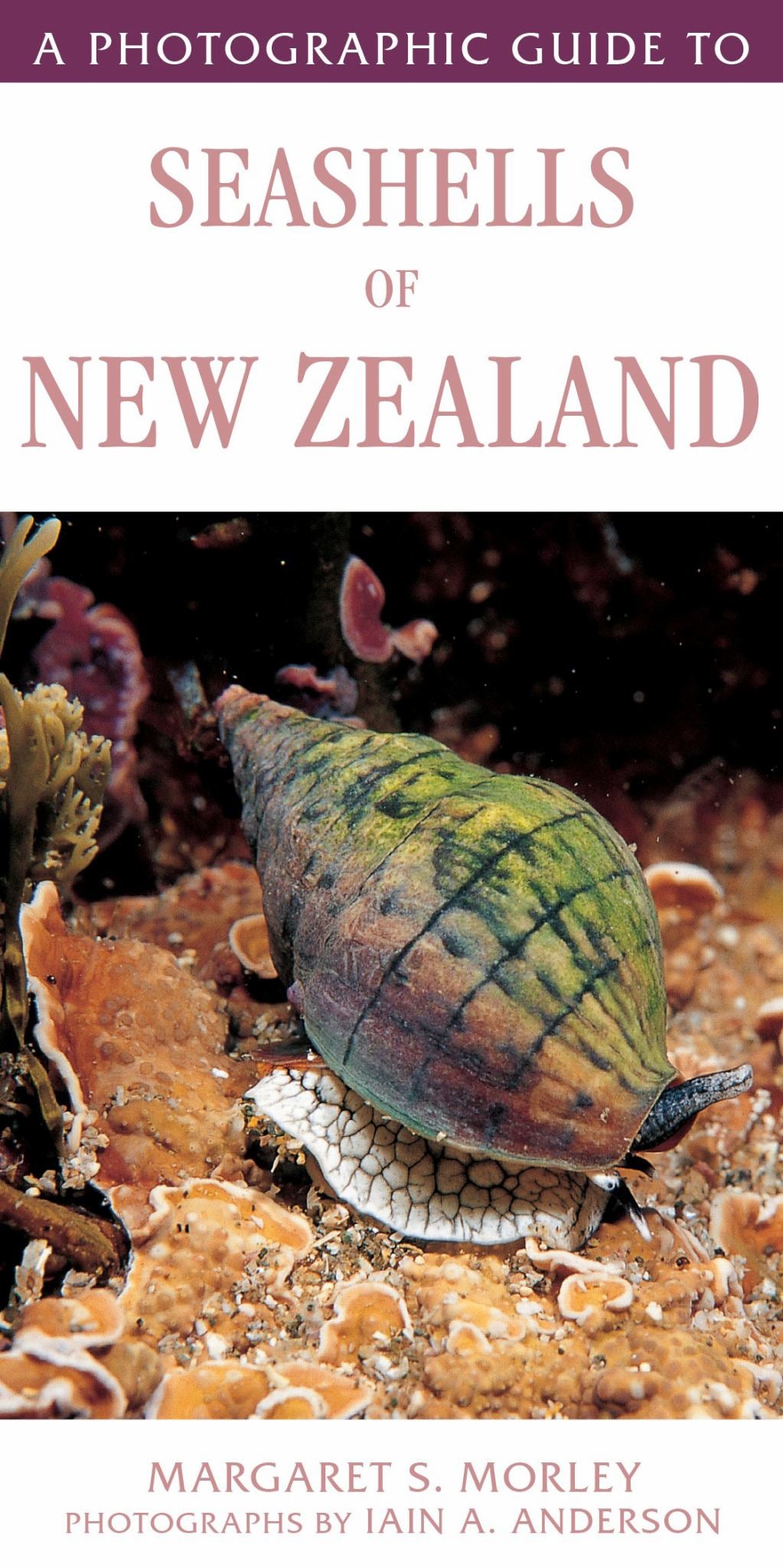 Photographic Guide to Seashells of New Zealand Cover Image