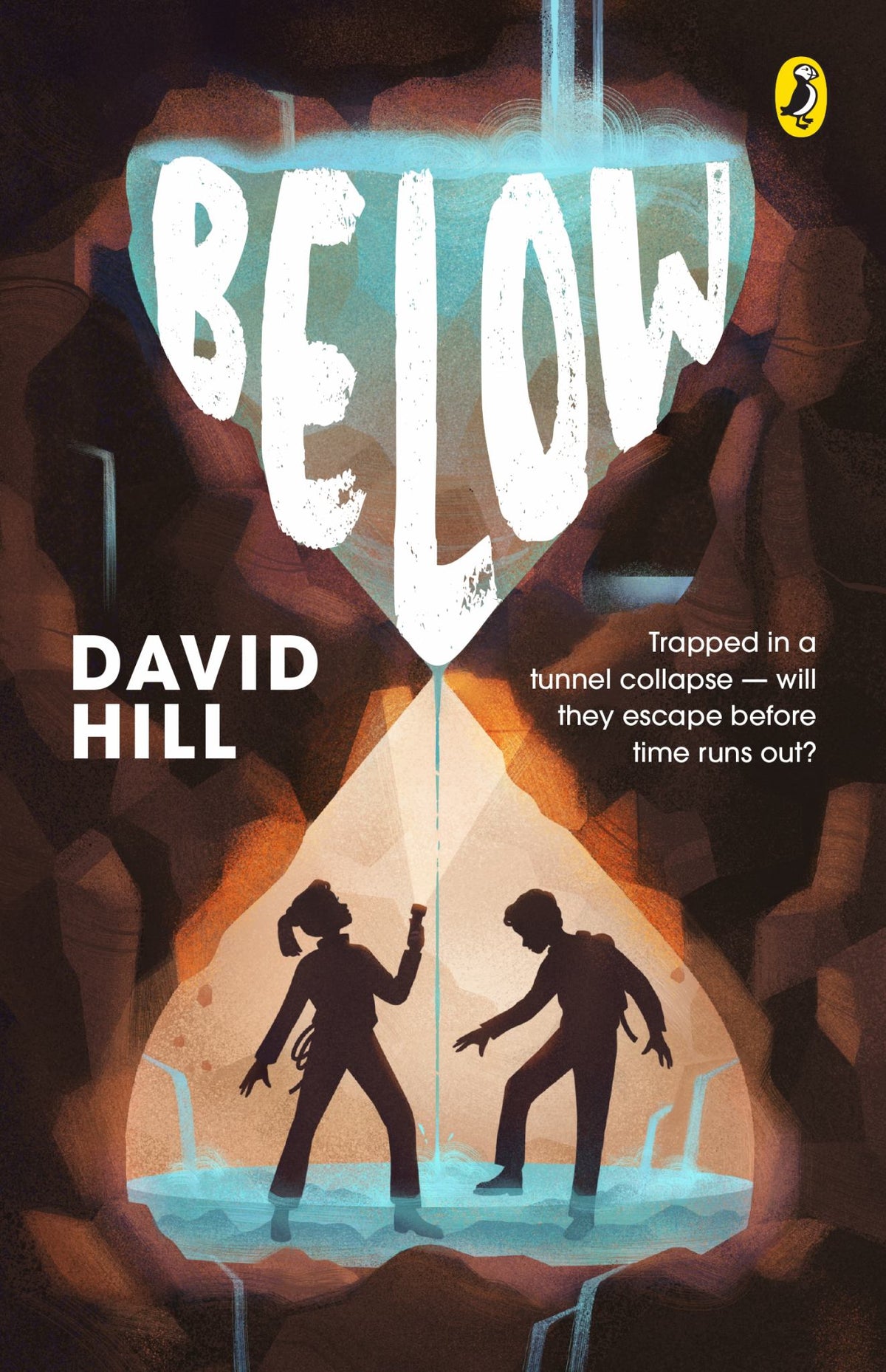 Below Cover Image