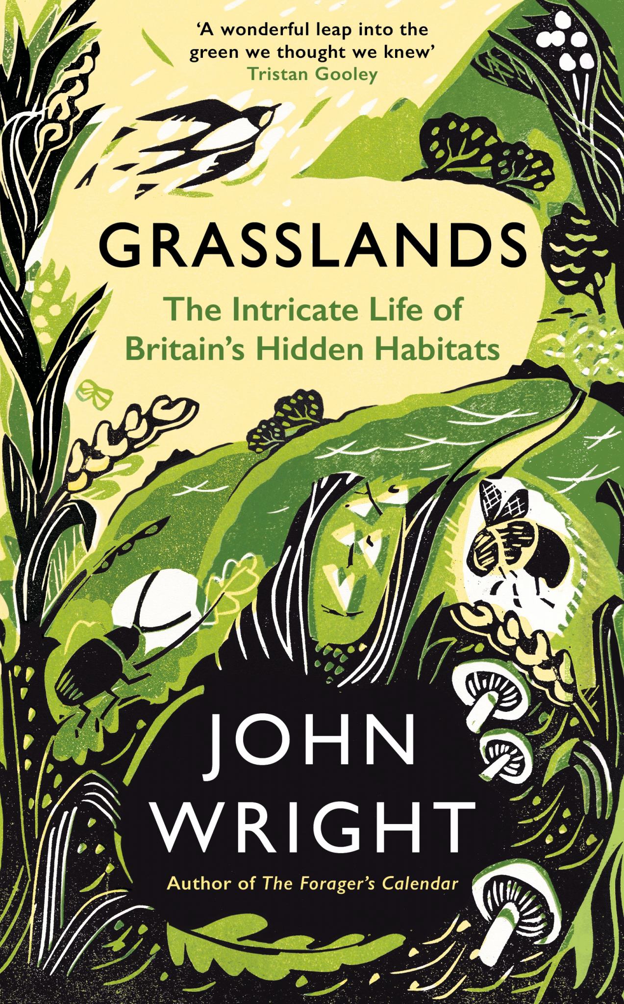 Grasslands Cover Image