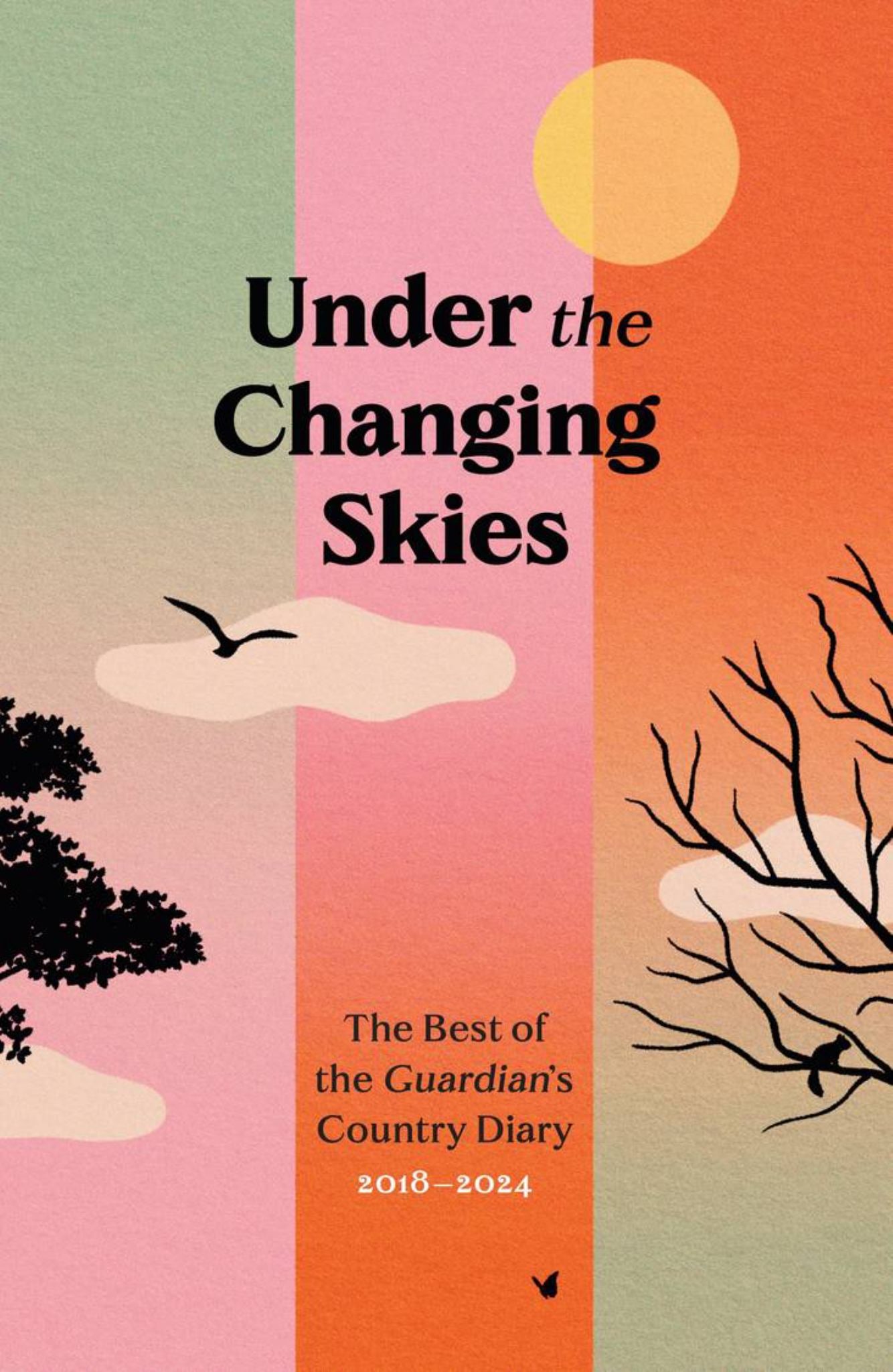 Under the Changing Skies Cover Image