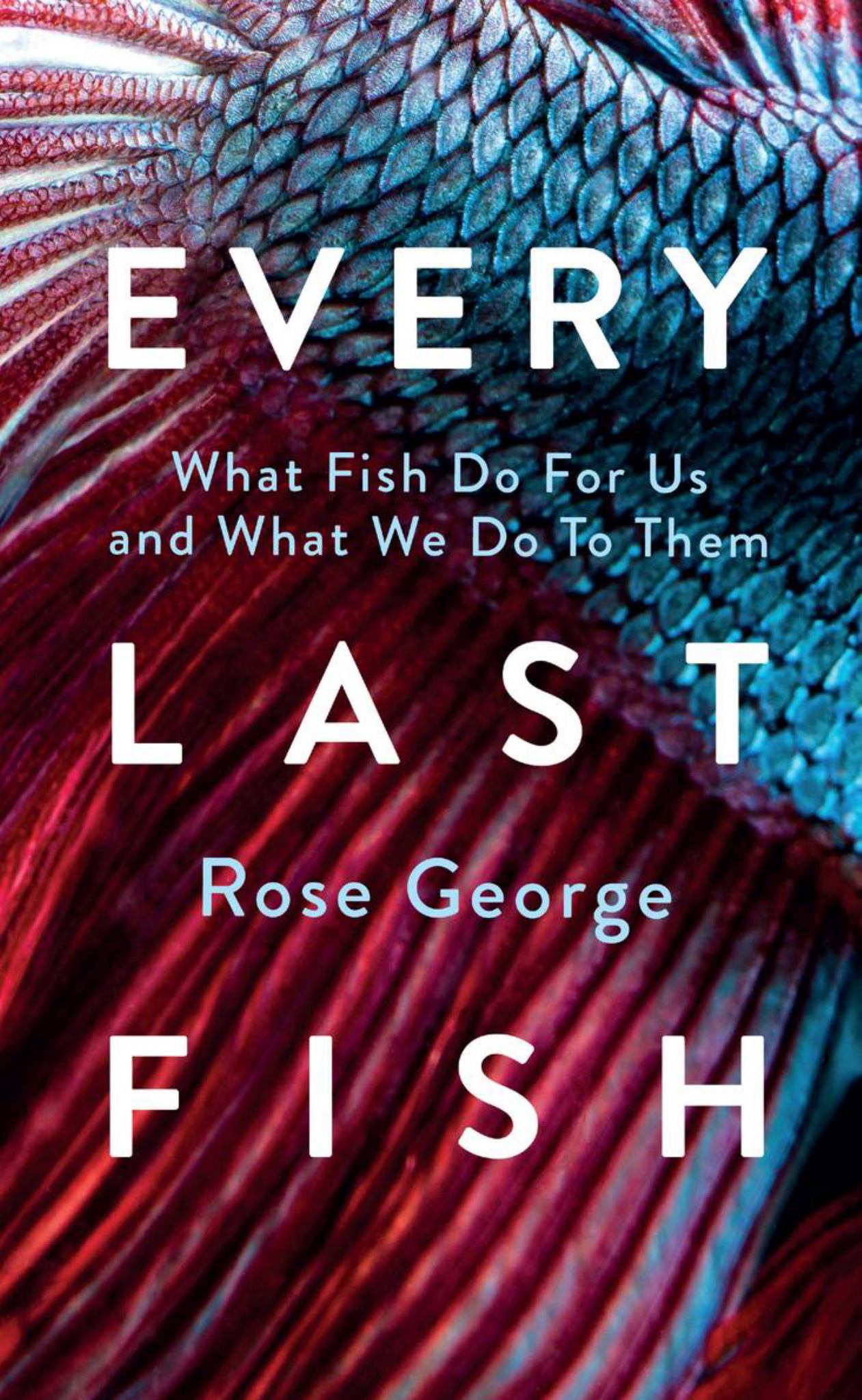Every Last Fish Cover Image