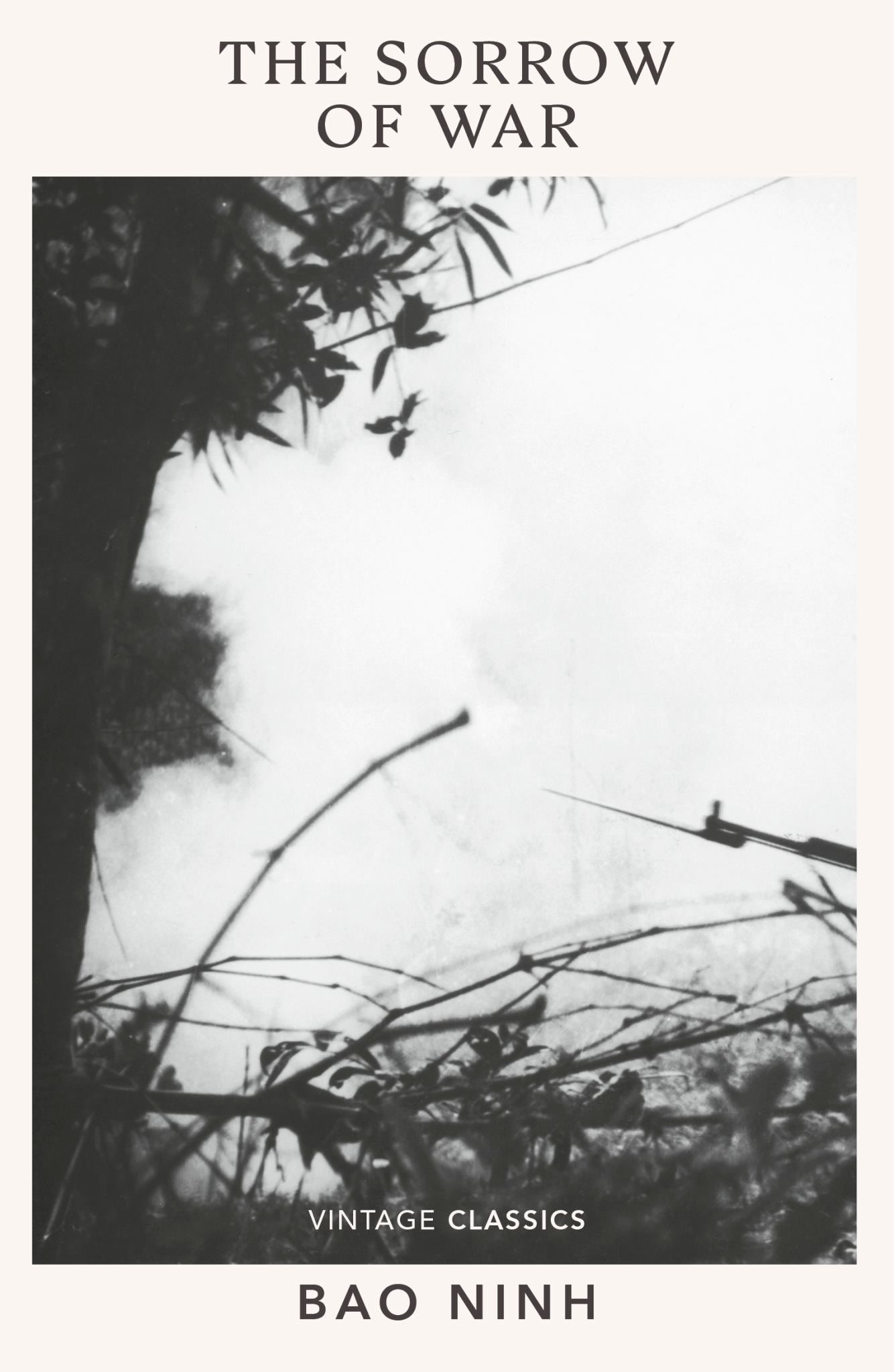 The Sorrow of War Cover Image
