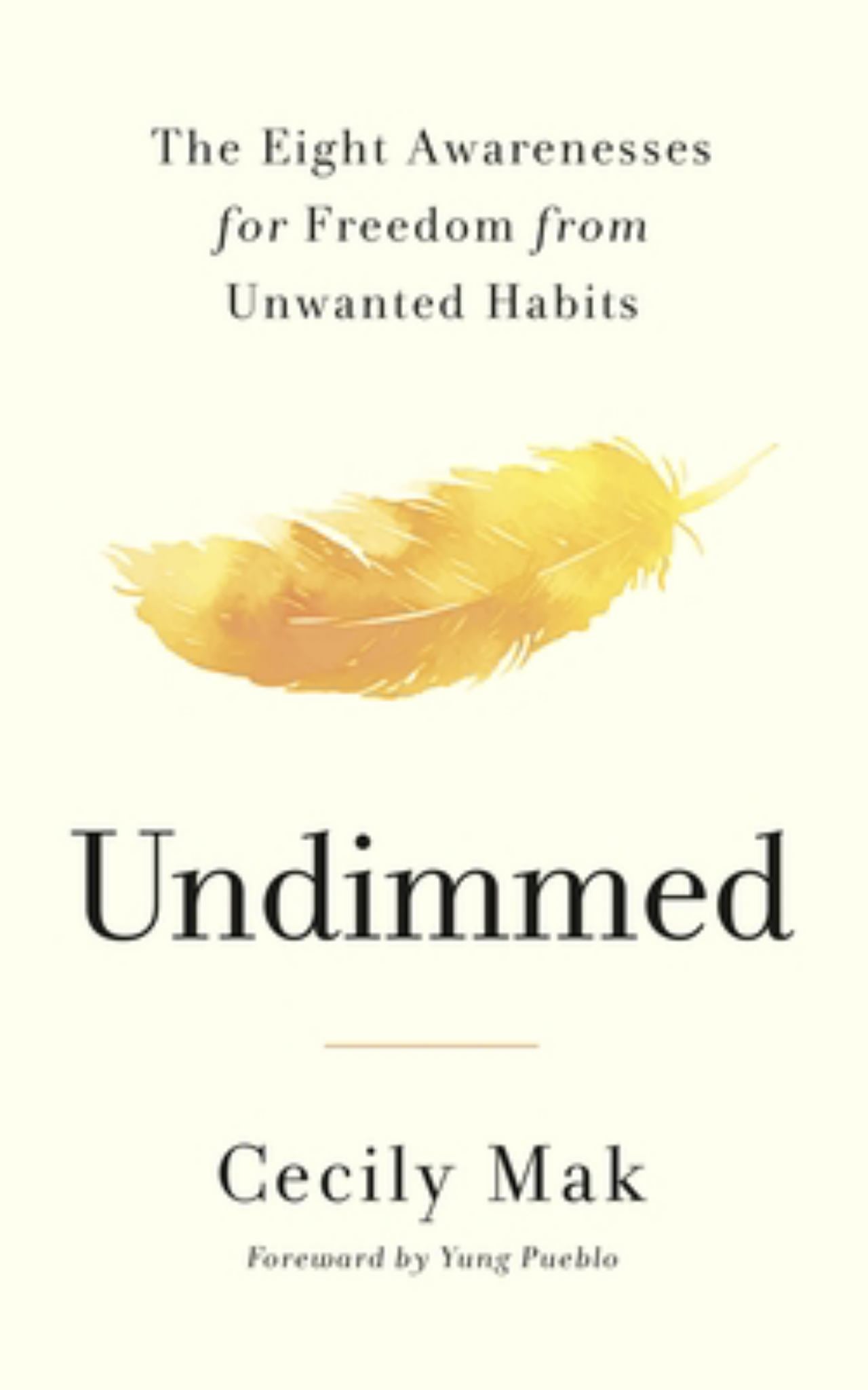 Undimmed Cover Image