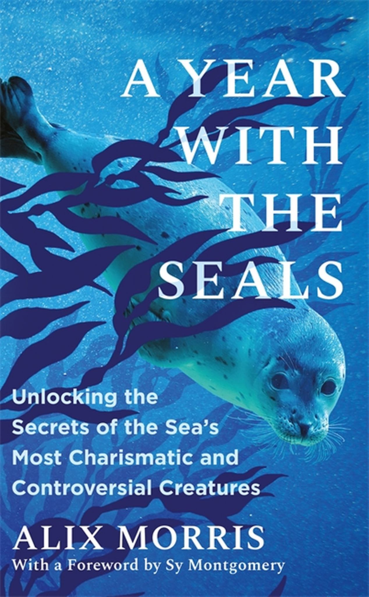 A Year with the Seals Cover Image