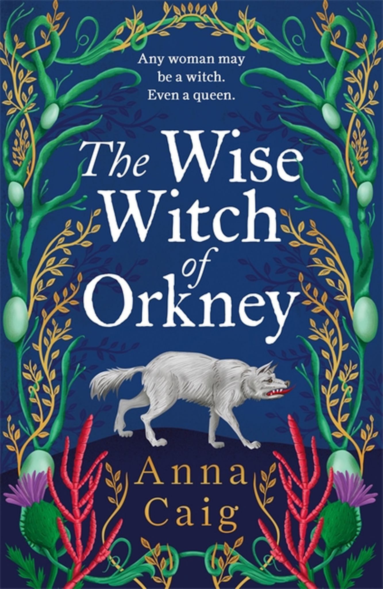 The Wise Witch of Orkney Cover Image