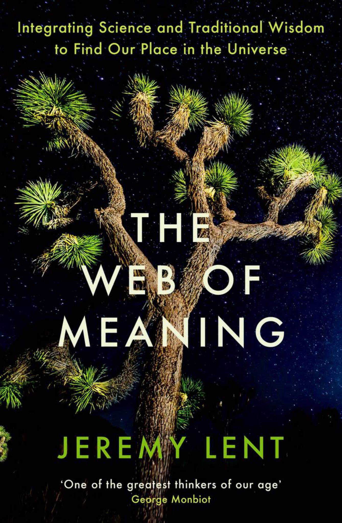 The Web of Meaning Cover Image