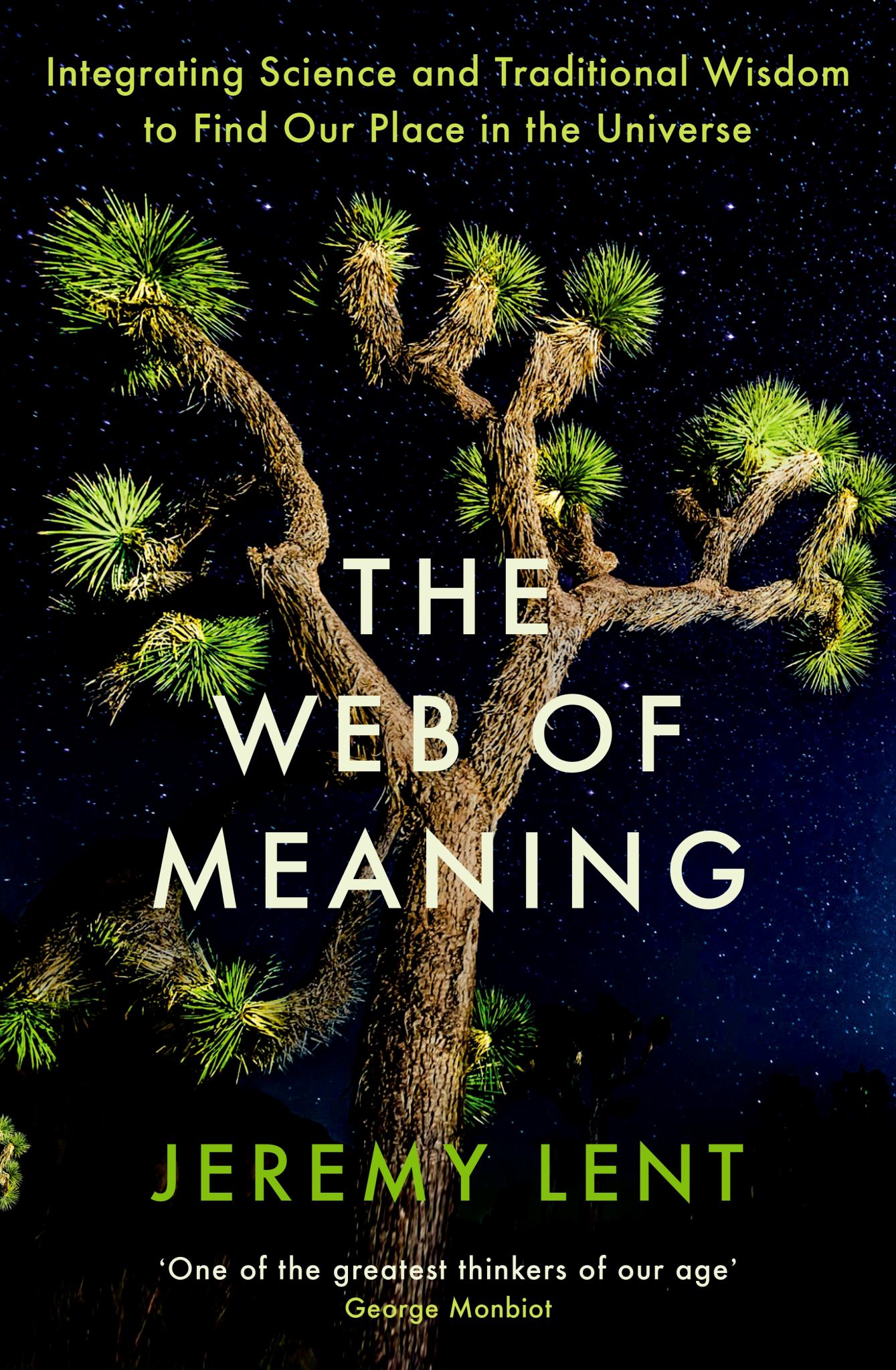 The Web of Meaning Cover Image