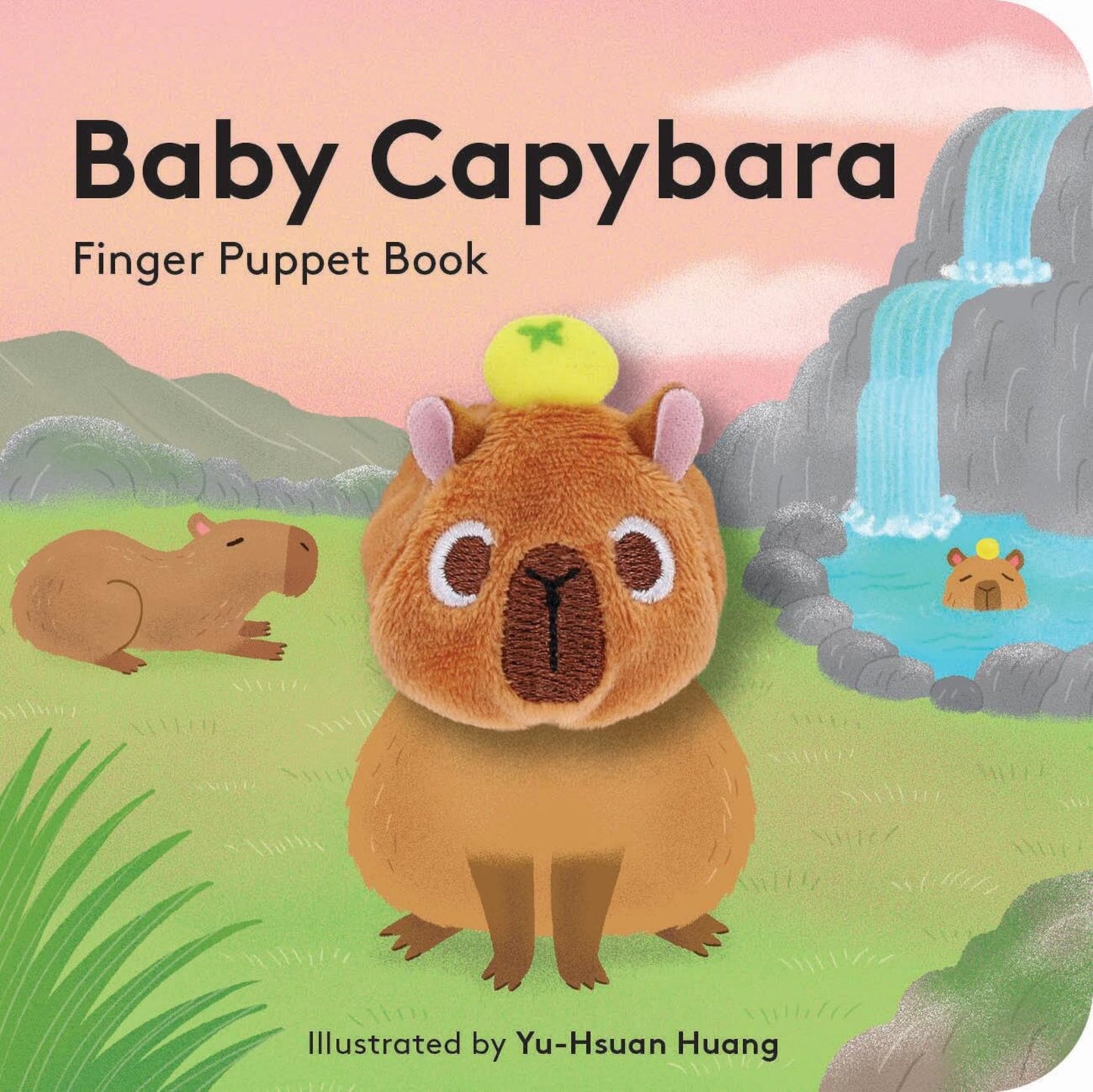 Baby Capybara: Finger Puppet Book Cover Image