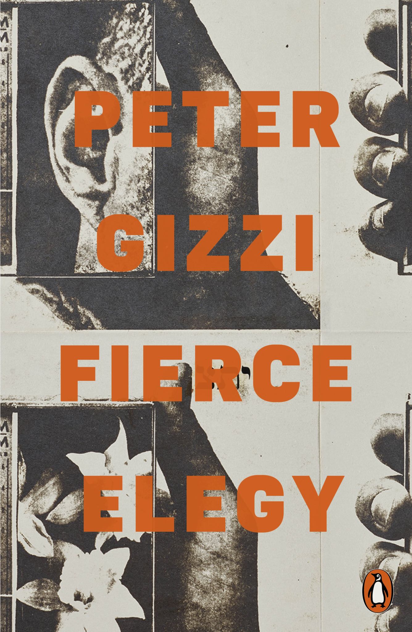 Fierce Elegy Cover Image