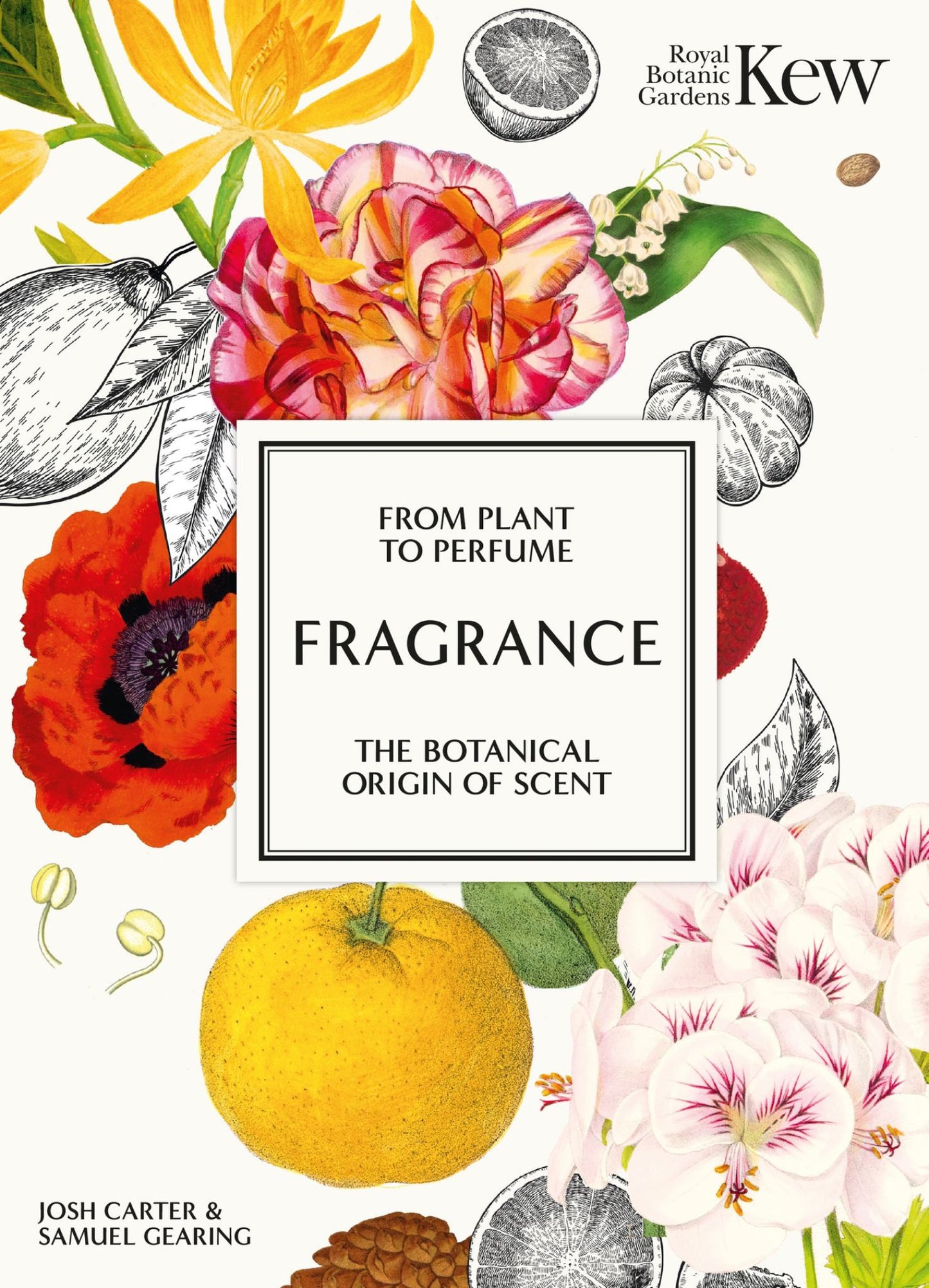 Fragrance Cover Image