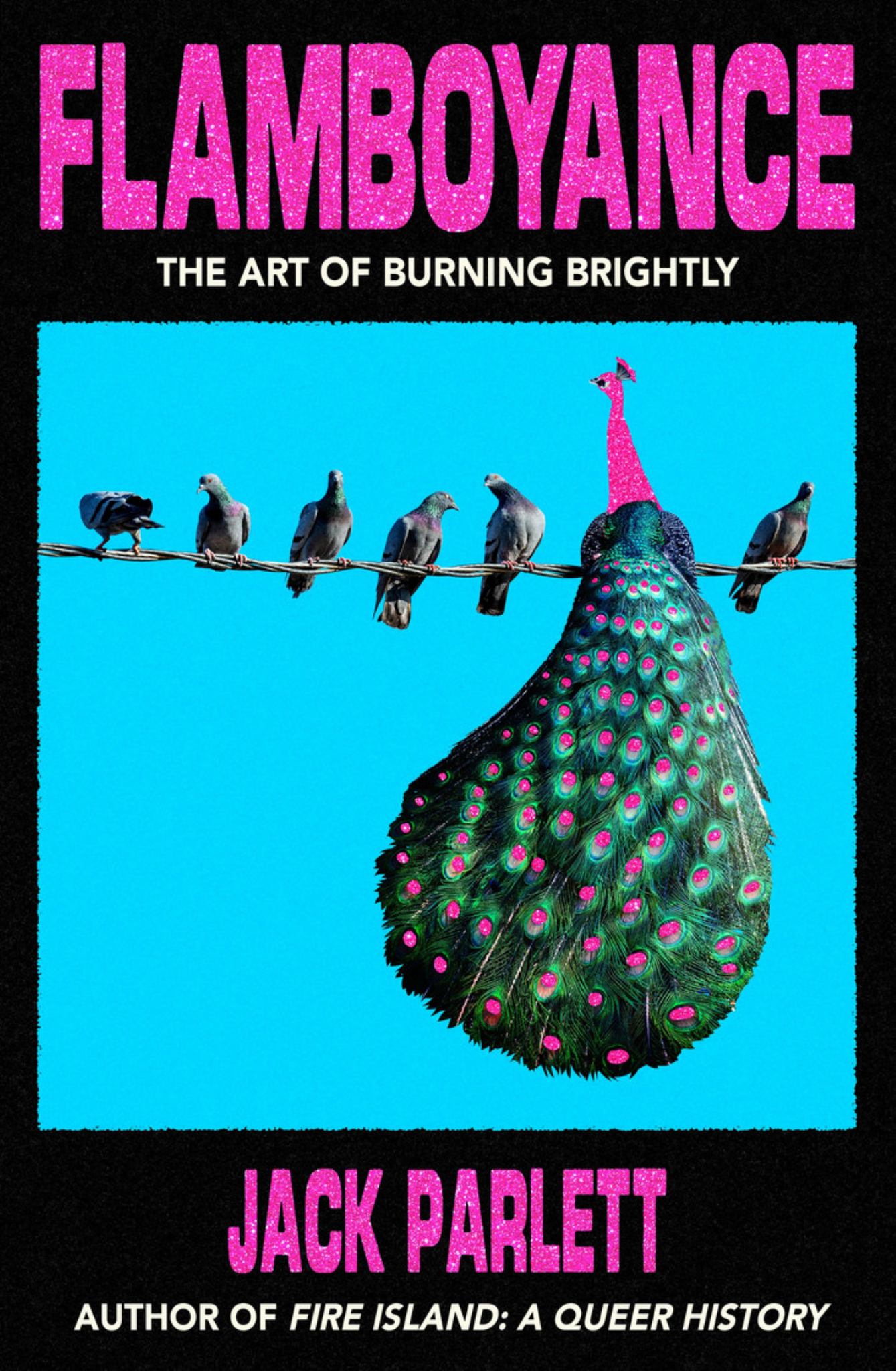 Flamboyance Cover Image