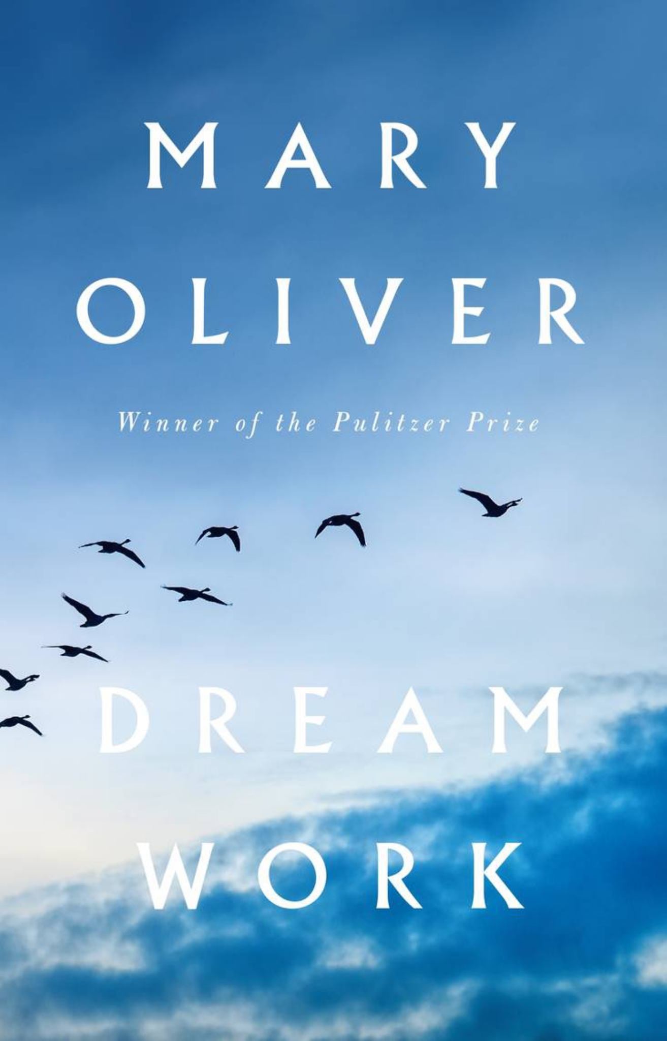Dream Work Cover Image