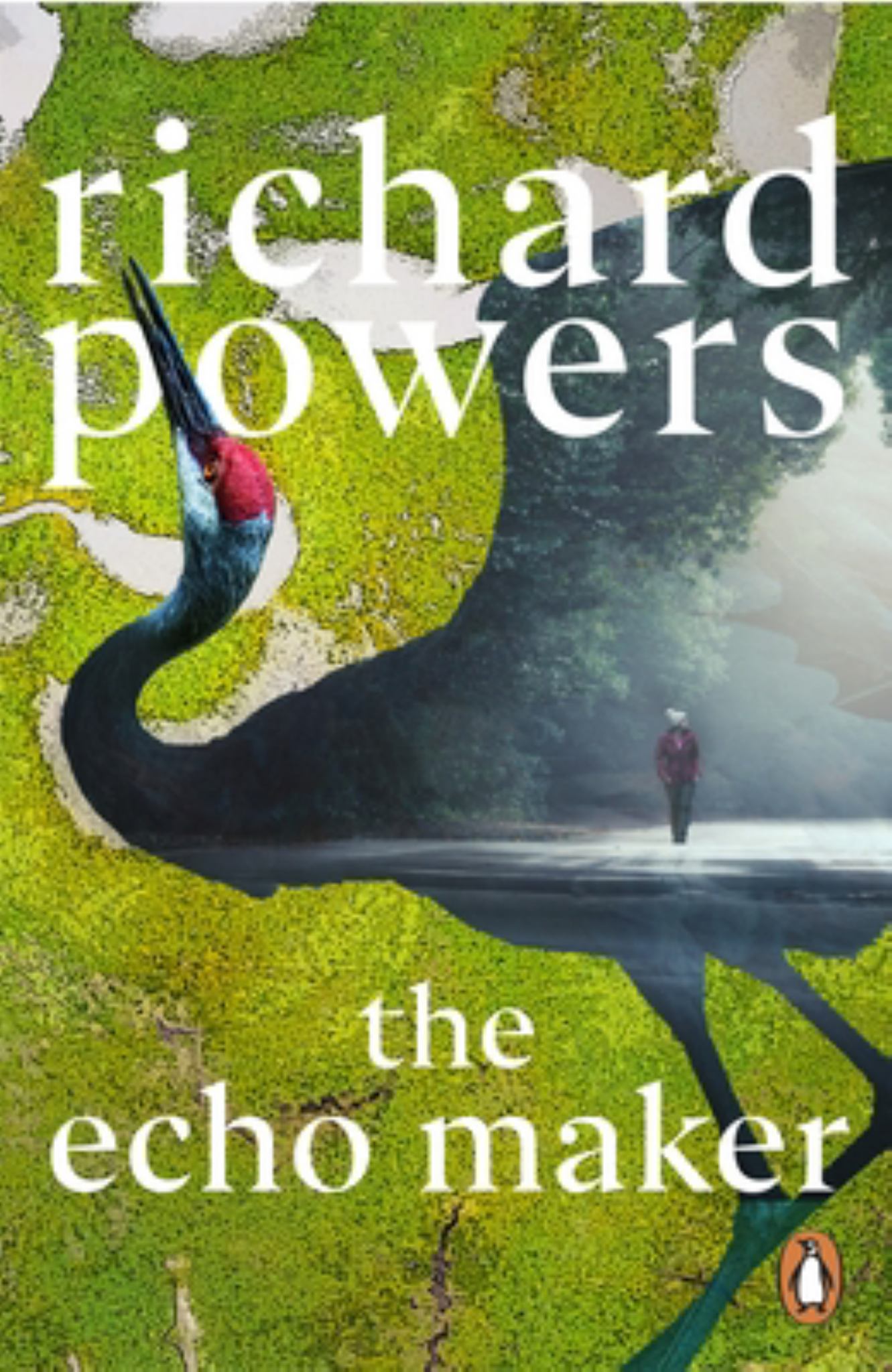 The Echo Maker Cover Image