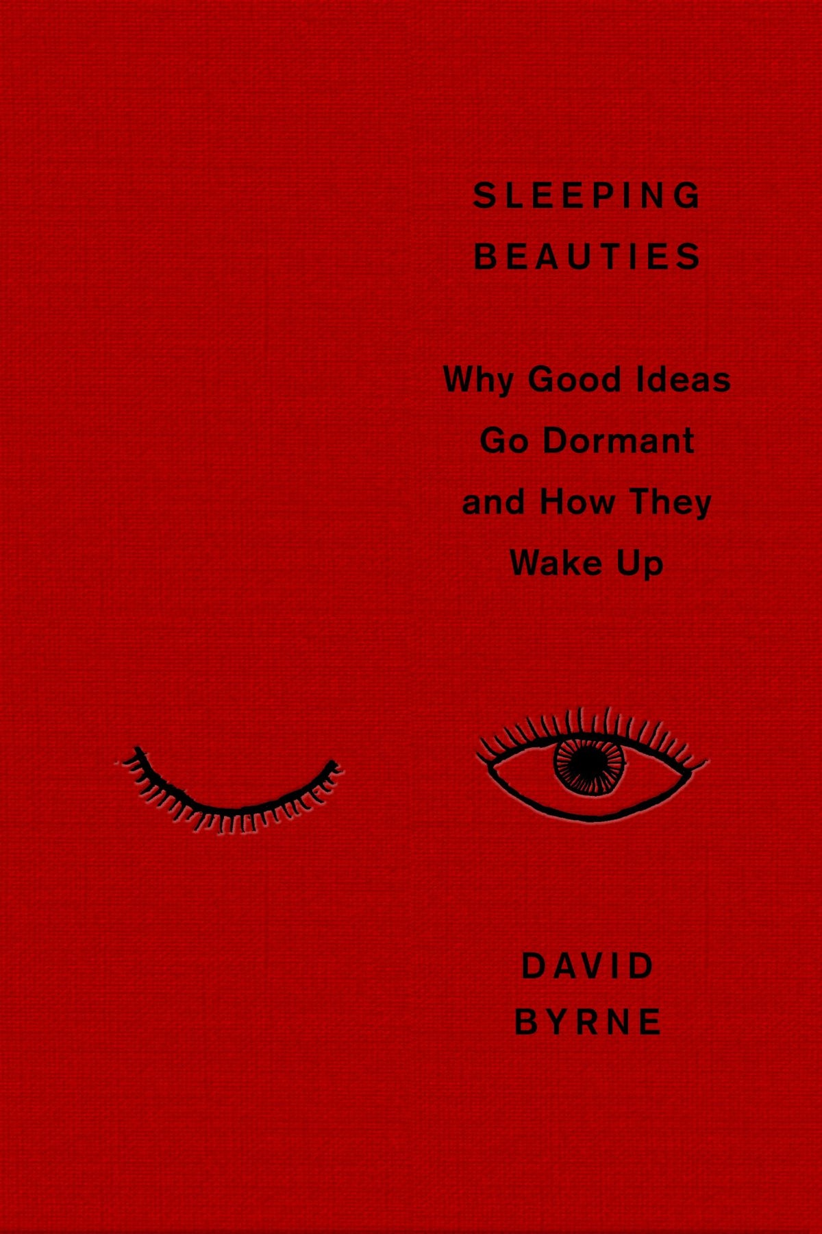 Sleeping Beauties Cover Image