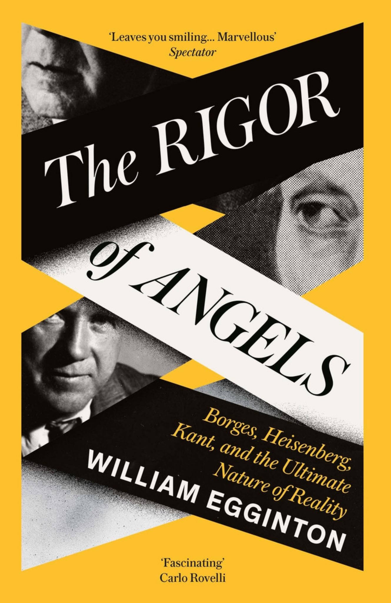 The Rigor of Angels Cover Image